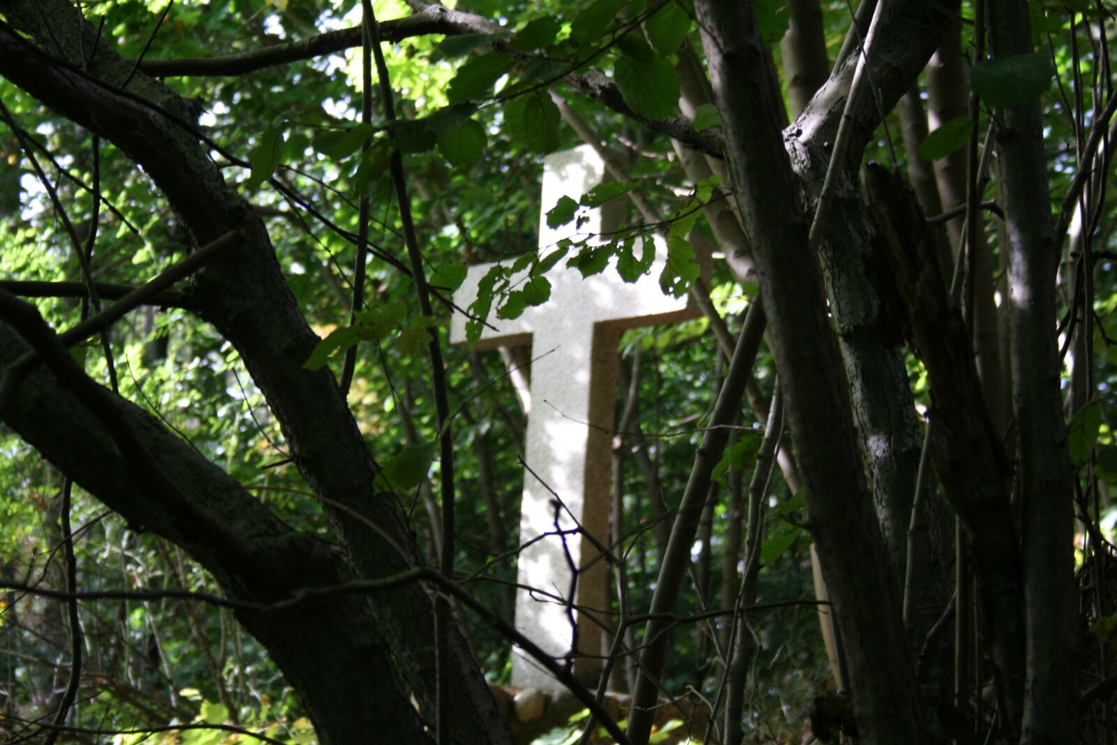 Canon EOS 400D (EOS Digital Rebel XTi / EOS Kiss Digital X) sample photo. Cross, forest, run photography