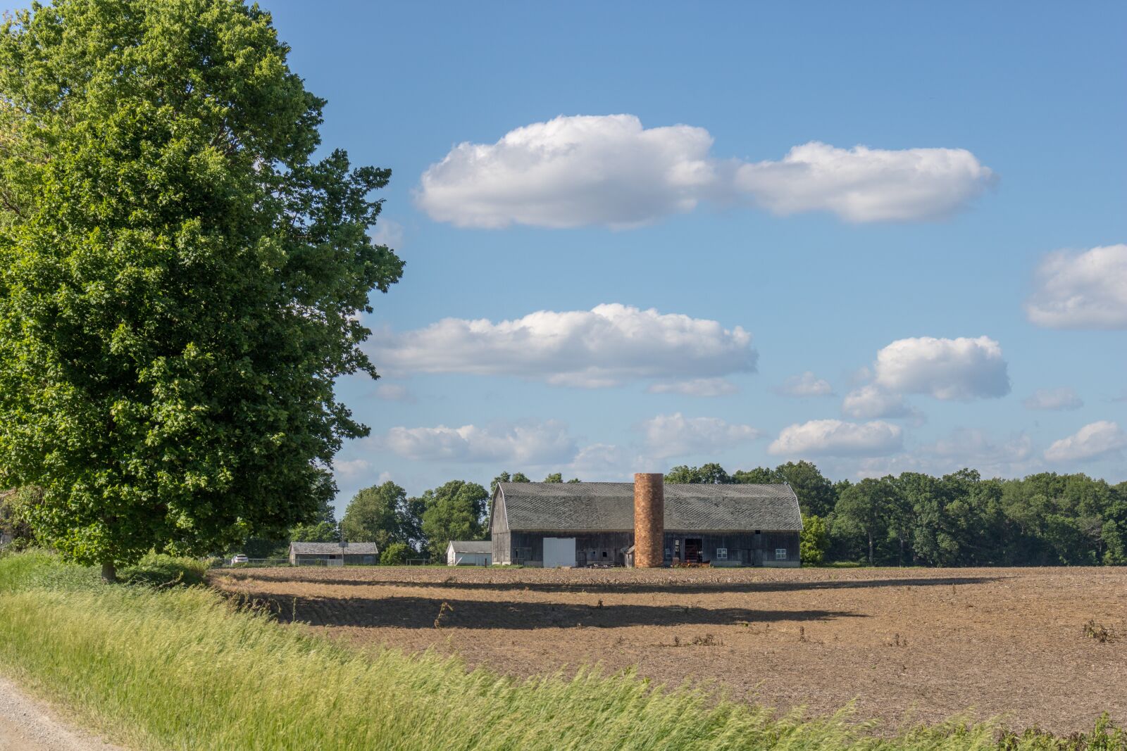 Canon EOS 750D (EOS Rebel T6i / EOS Kiss X8i) sample photo. Farm, rural, agriculture photography