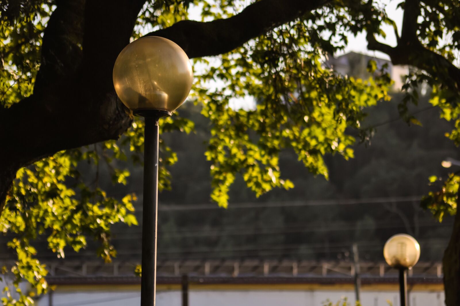 Nikon D90 sample photo. Lamps, lights, lightbulb photography