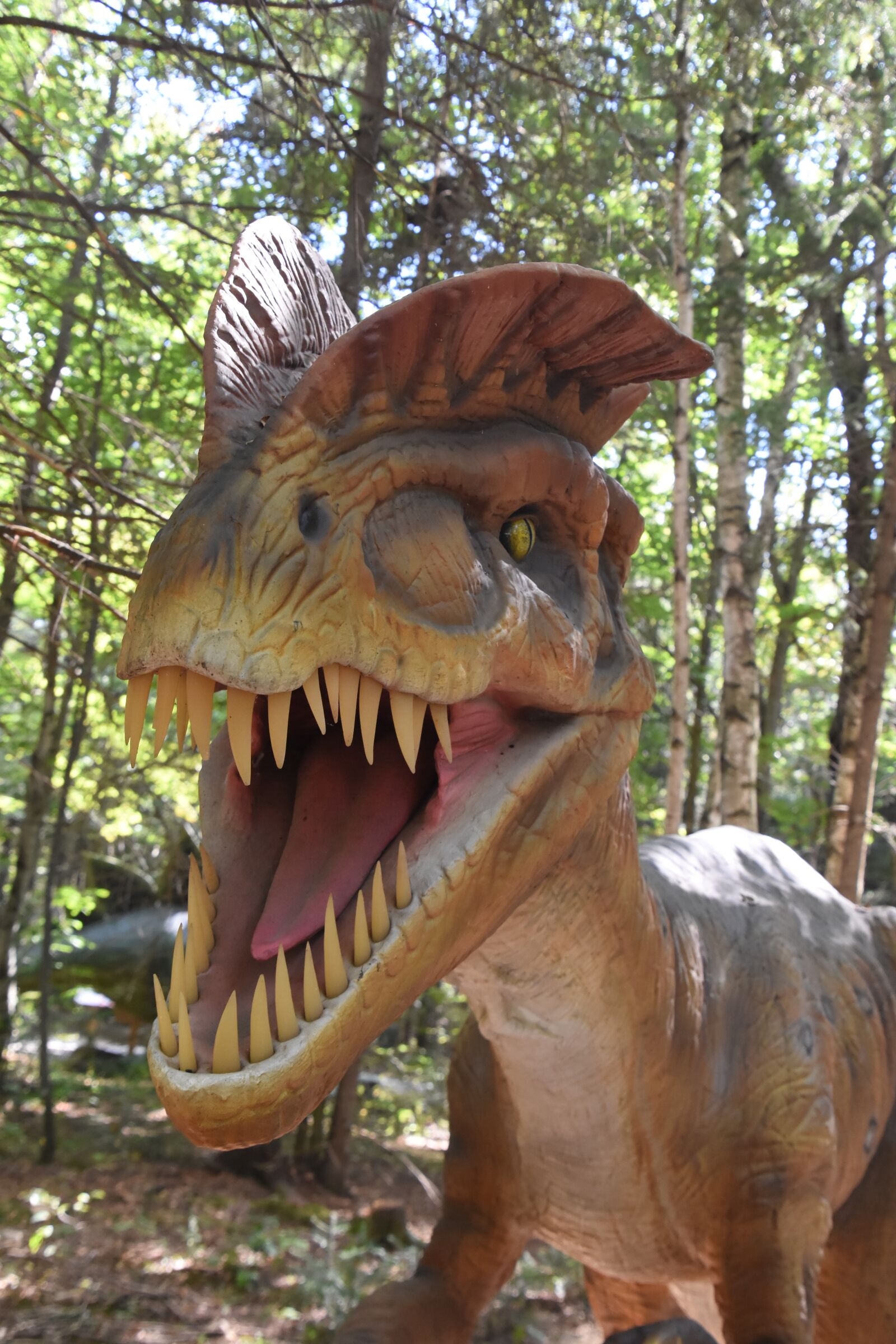 Nikon D7200 sample photo. Dinosaurs, québec, exhibition photography