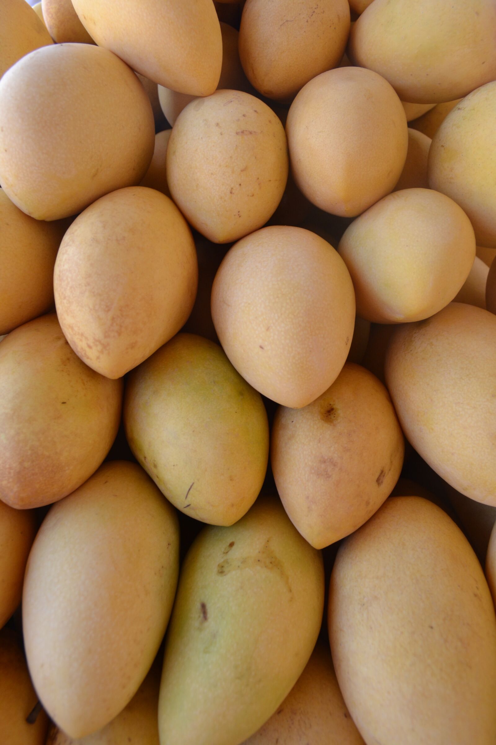 Nikon D3100 sample photo. Mango, fruit, yellow photography