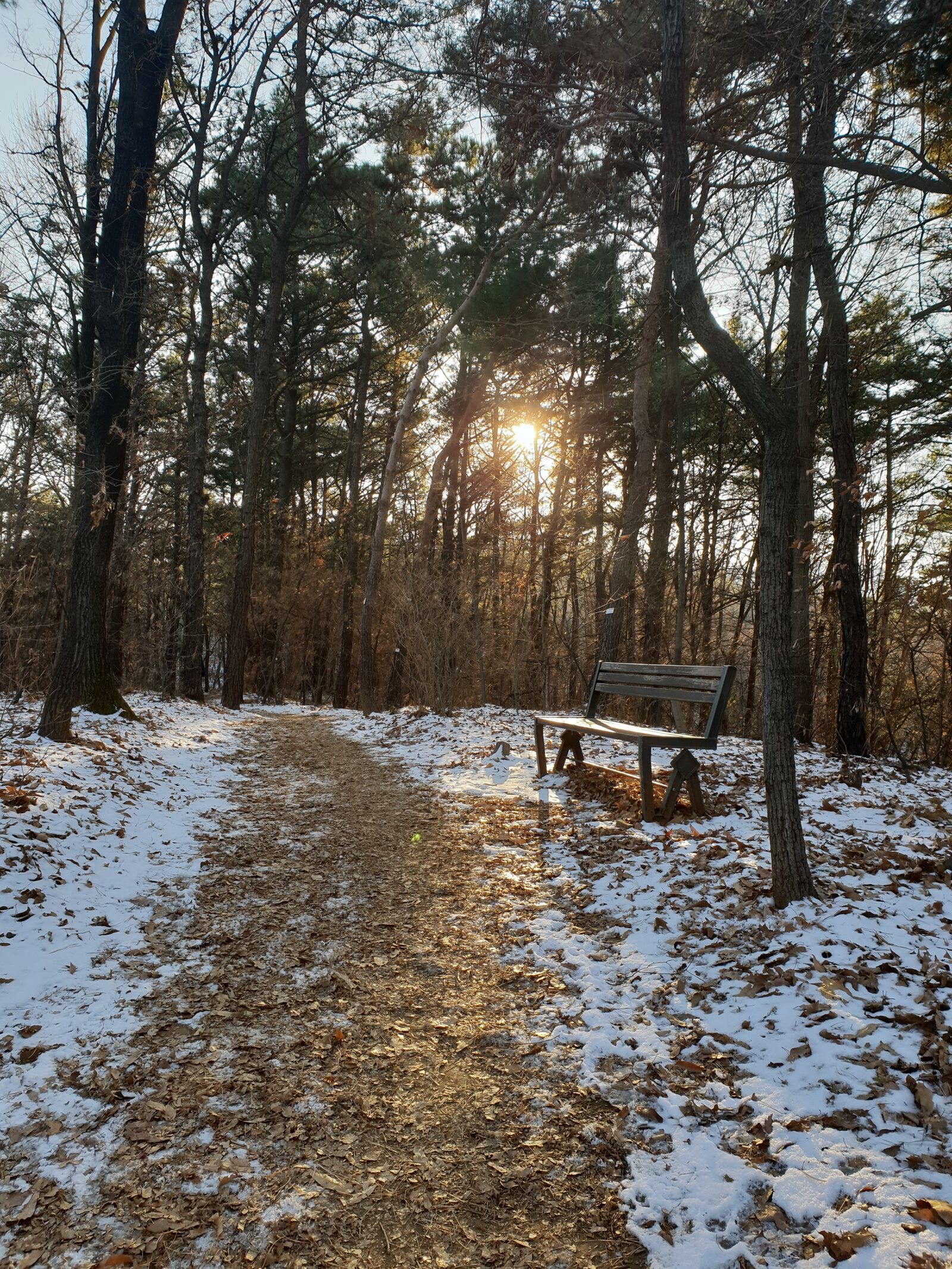 Samsung Galaxy S9+ sample photo. Forest road, mountain, sea photography
