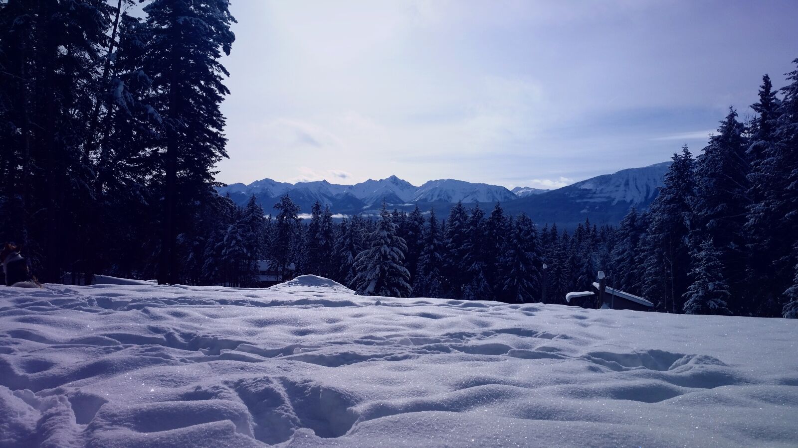 Samsung Galaxy S5 sample photo. Snow, winter, nature photography