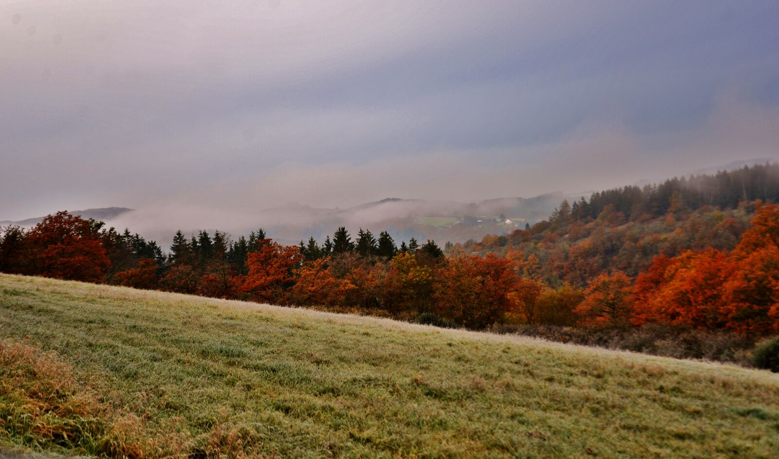 Nikon D600 sample photo. Hills, forests, landscape photography