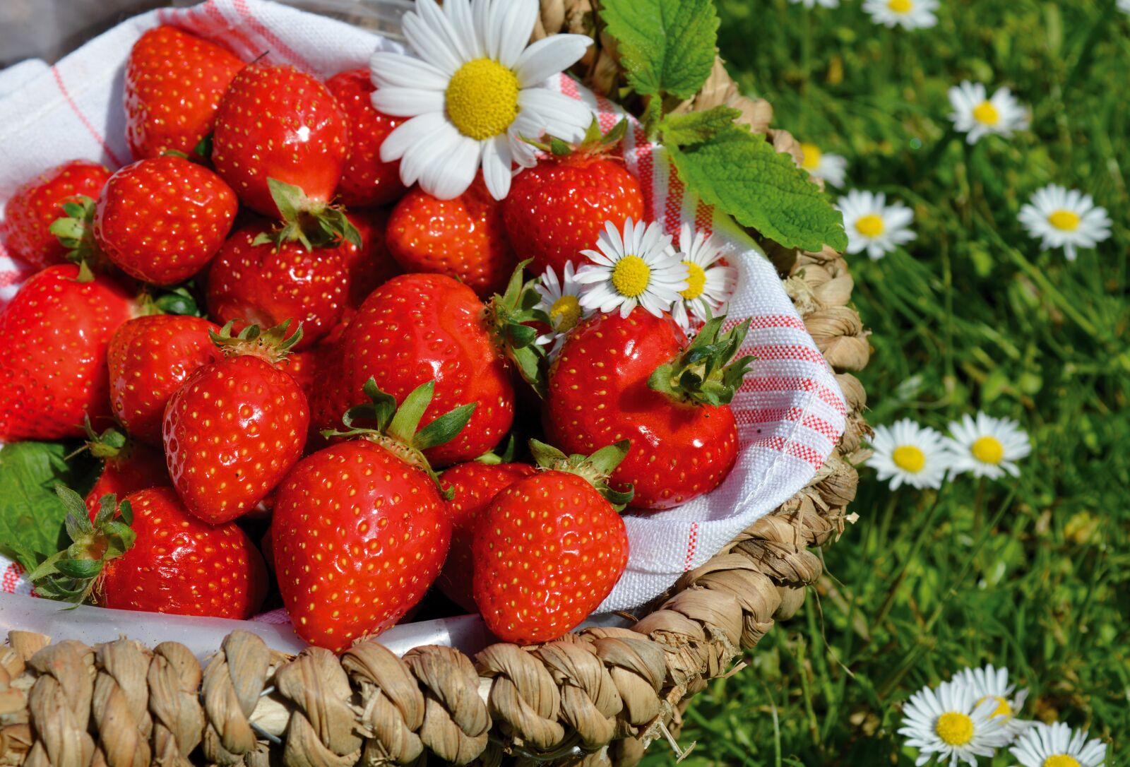 Nikon D3200 sample photo. Strawberries, basket, fruit photography