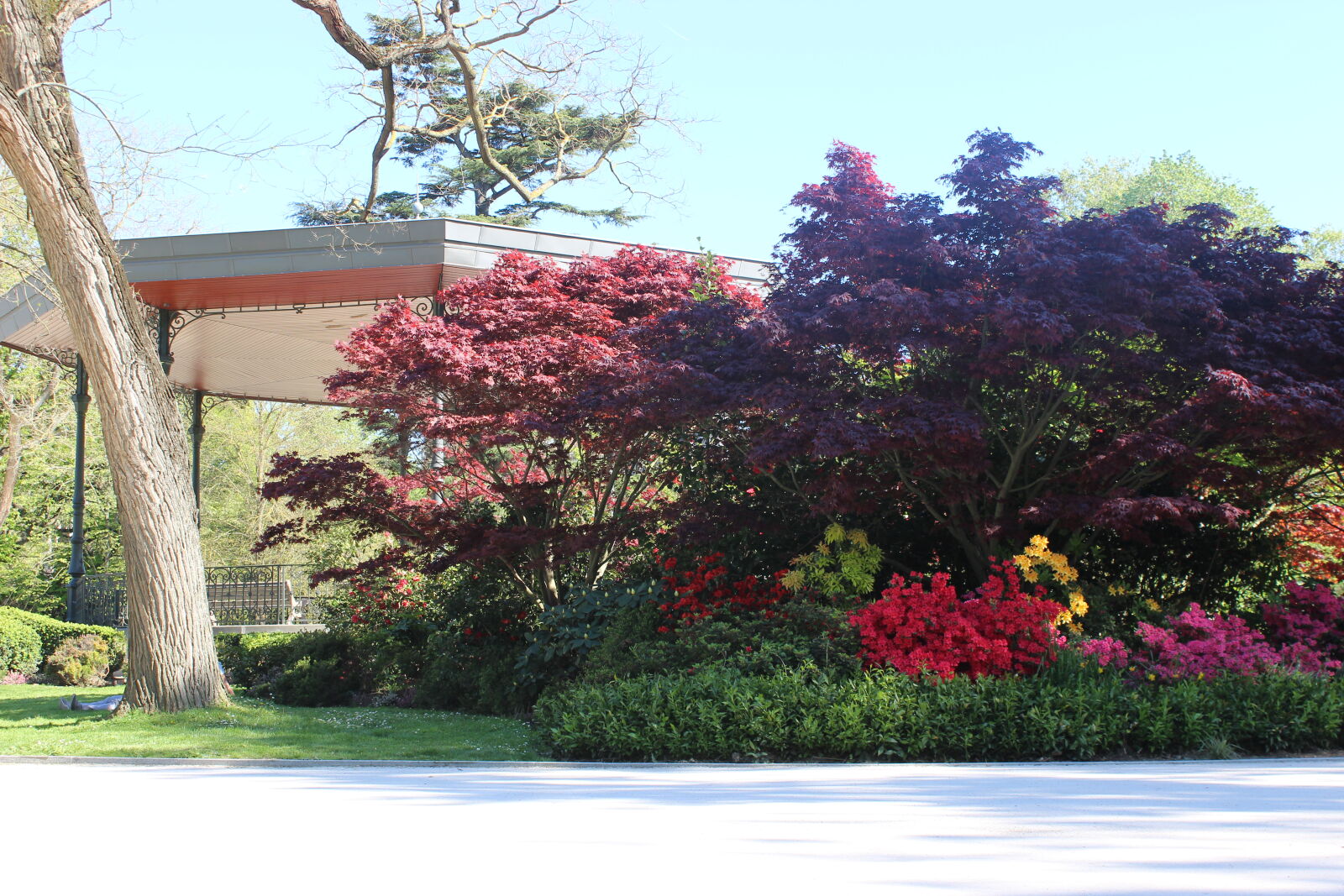 Canon EOS 600D (Rebel EOS T3i / EOS Kiss X5) sample photo. Beautiful, beautiful, flowers, color photography