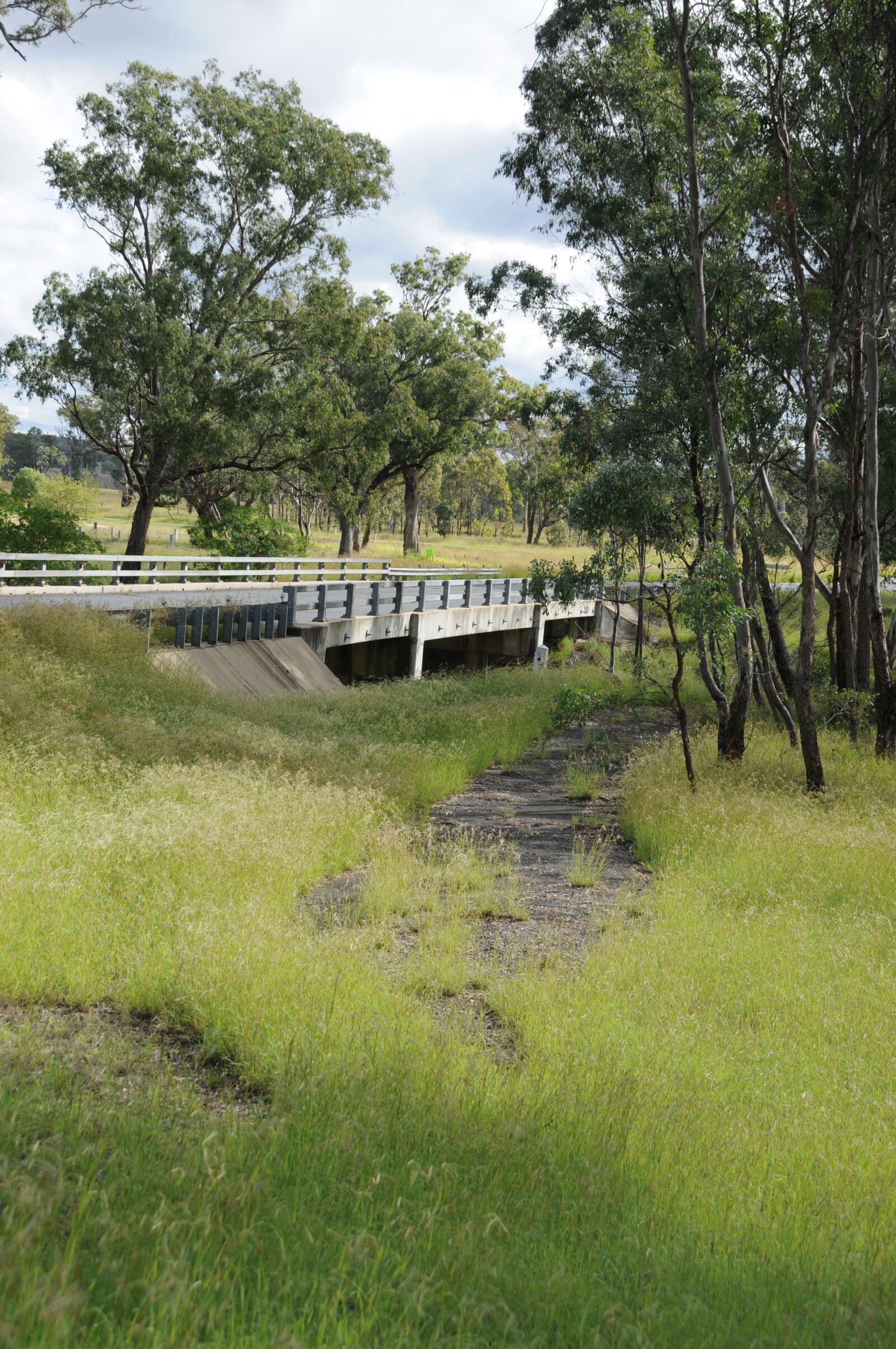 Nikon D300 sample photo. Bridge, old road, grass photography