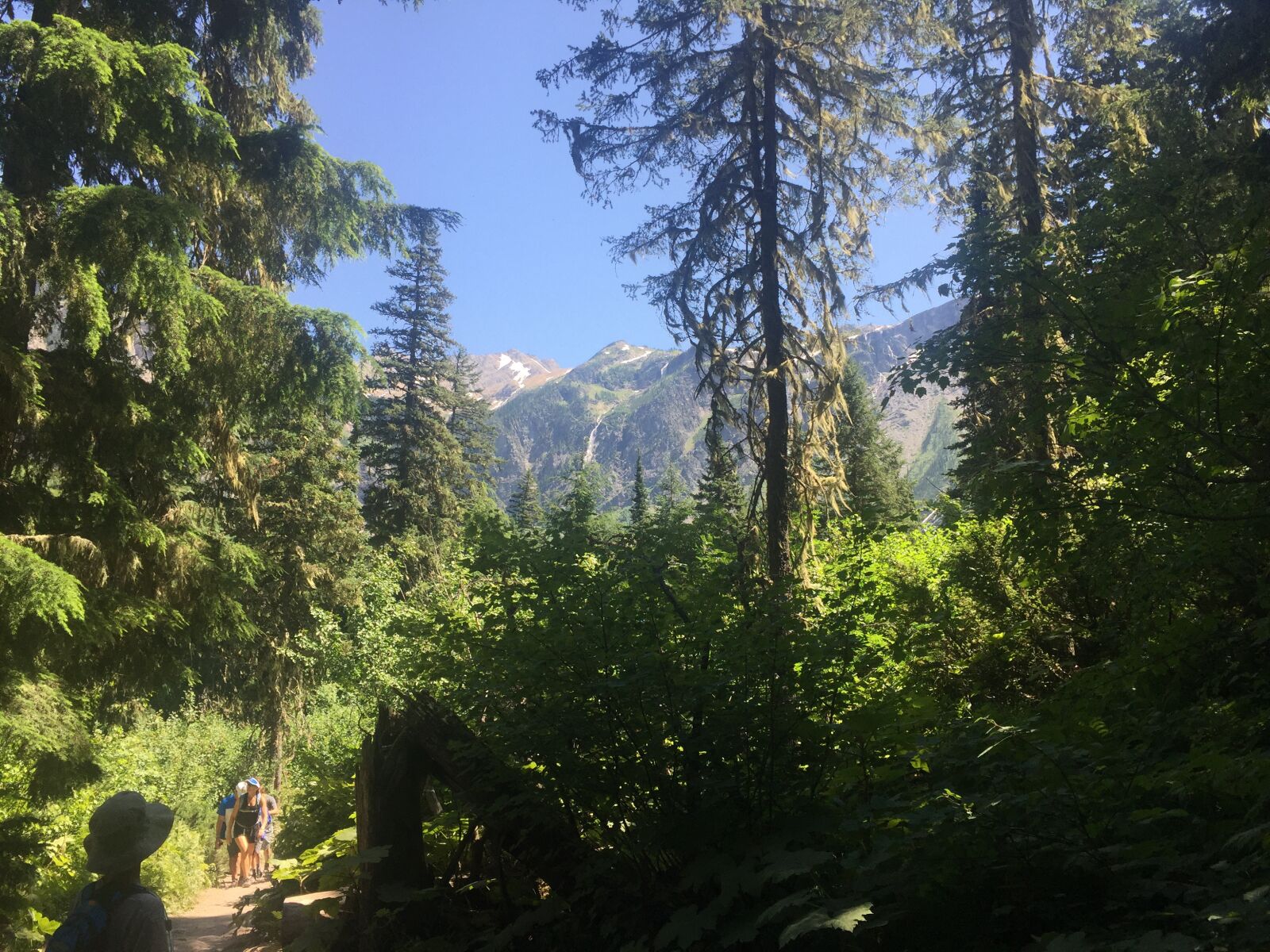 iPhone 6 Plus back camera 4.15mm f/2.2 sample photo. Glacier national park, montana photography