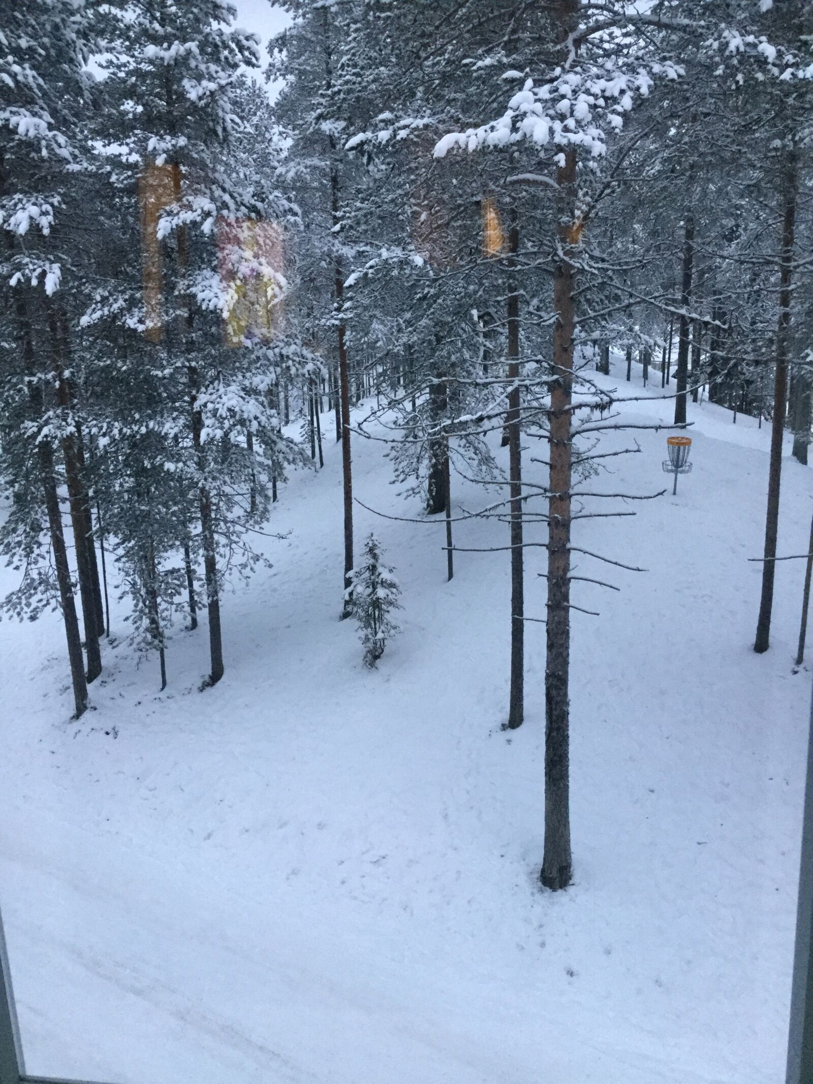 iPad Air 2 back camera 3.3mm f/2.4 sample photo. Lapland, trees, snow photography
