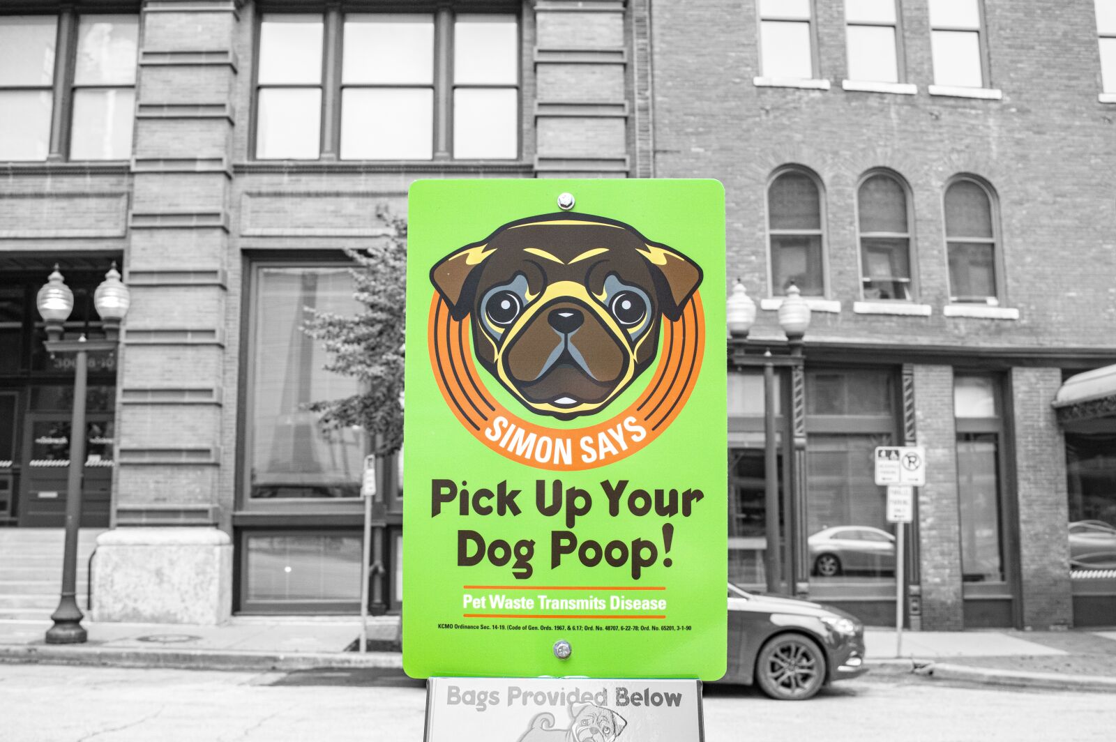 Nikon D3200 sample photo. Dog poop, litter, excrement photography
