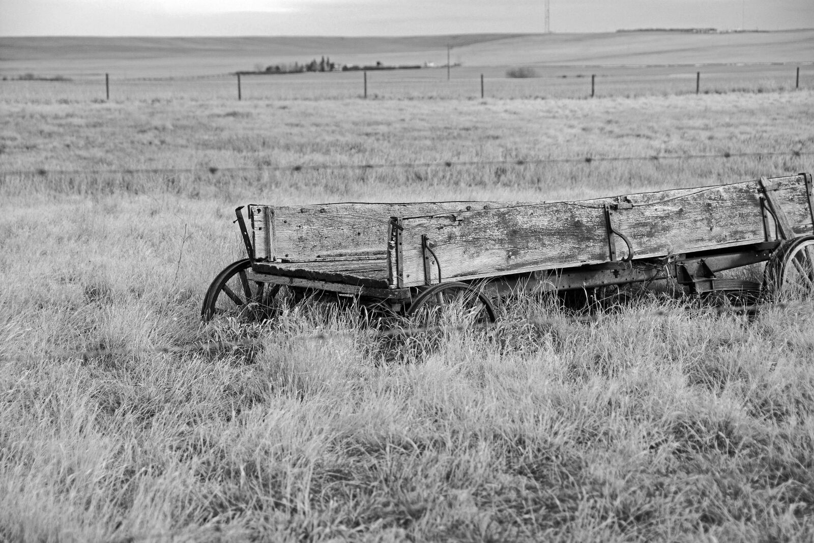 Nikon D7100 sample photo. Rustic, wagon, wooden photography