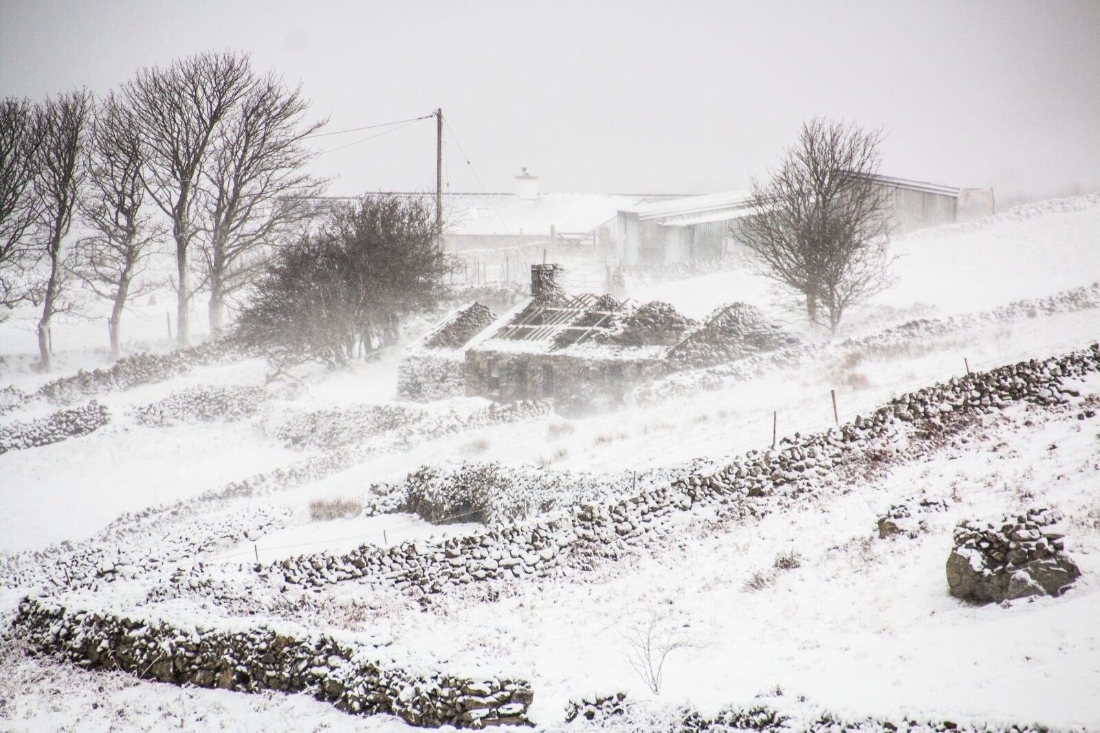 Canon EOS 70D sample photo. Winter, snow, frost photography