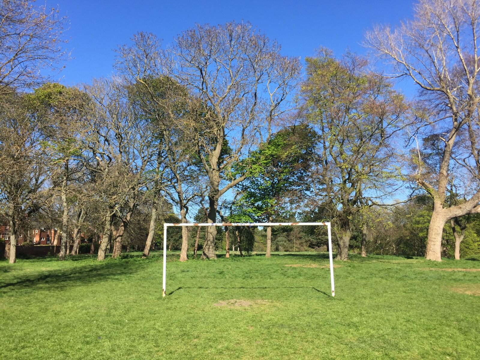 iPhone 6 back camera 4.15mm f/2.2 sample photo. Park, goalposts, trees photography