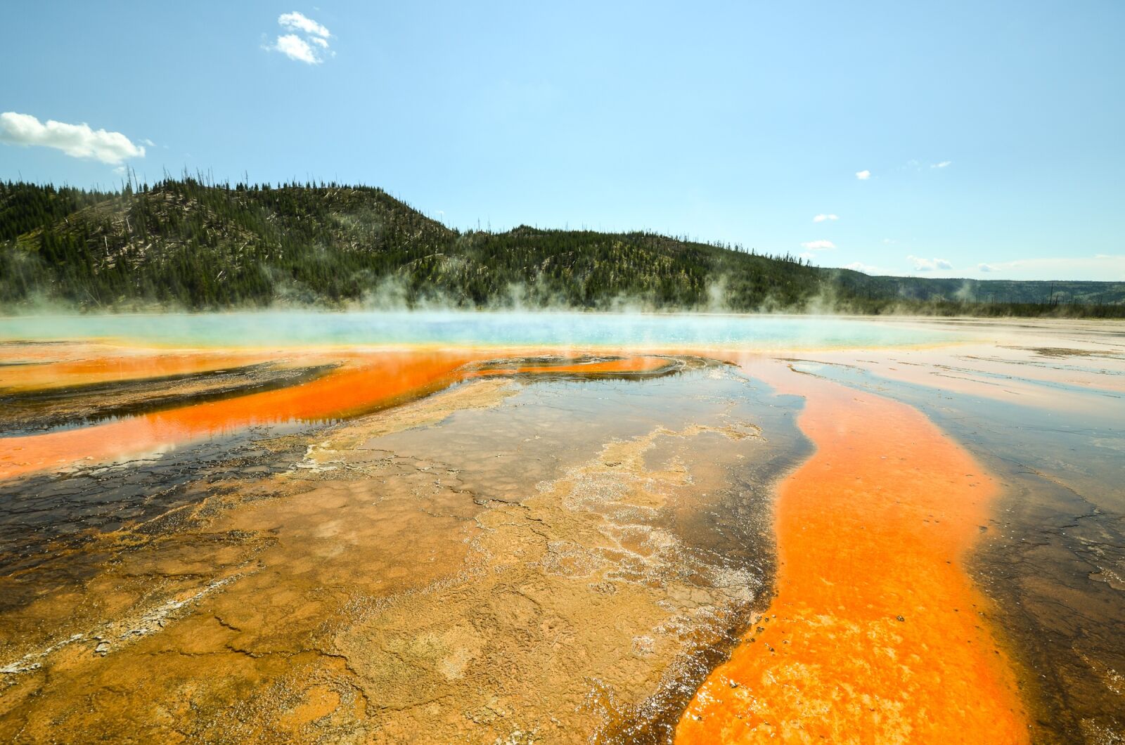 Nikon D5100 sample photo. Usa, america, yellowstone photography