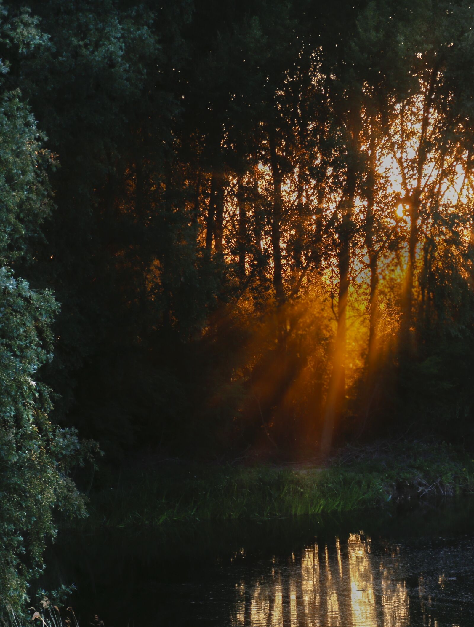 Canon EOS 6D + Canon EF 24-105mm F4L IS USM sample photo. Sun, fog, landscape photography
