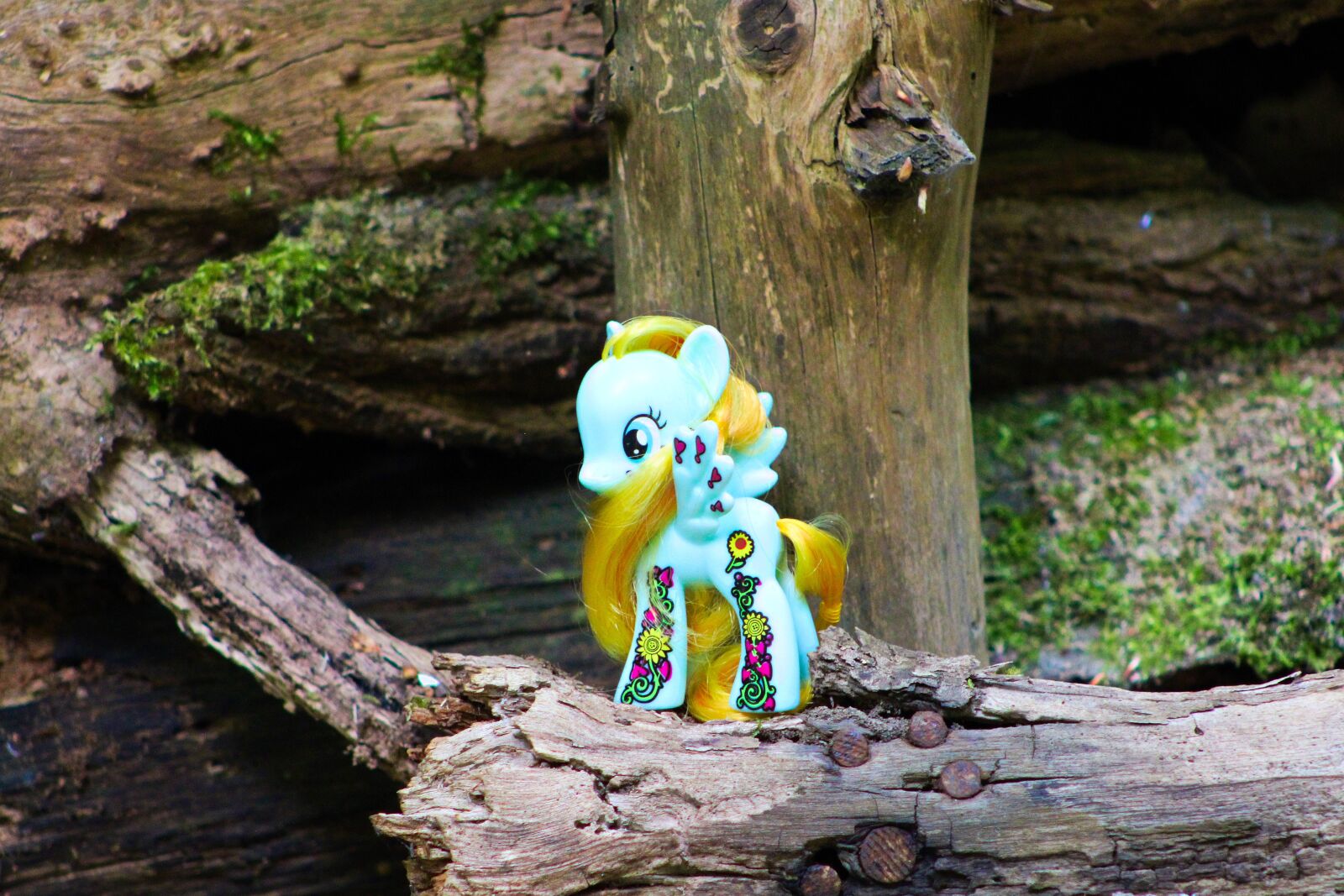 Canon EOS 2000D (EOS Rebel T7 / EOS Kiss X90 / EOS 1500D) sample photo. My little pony, toys photography