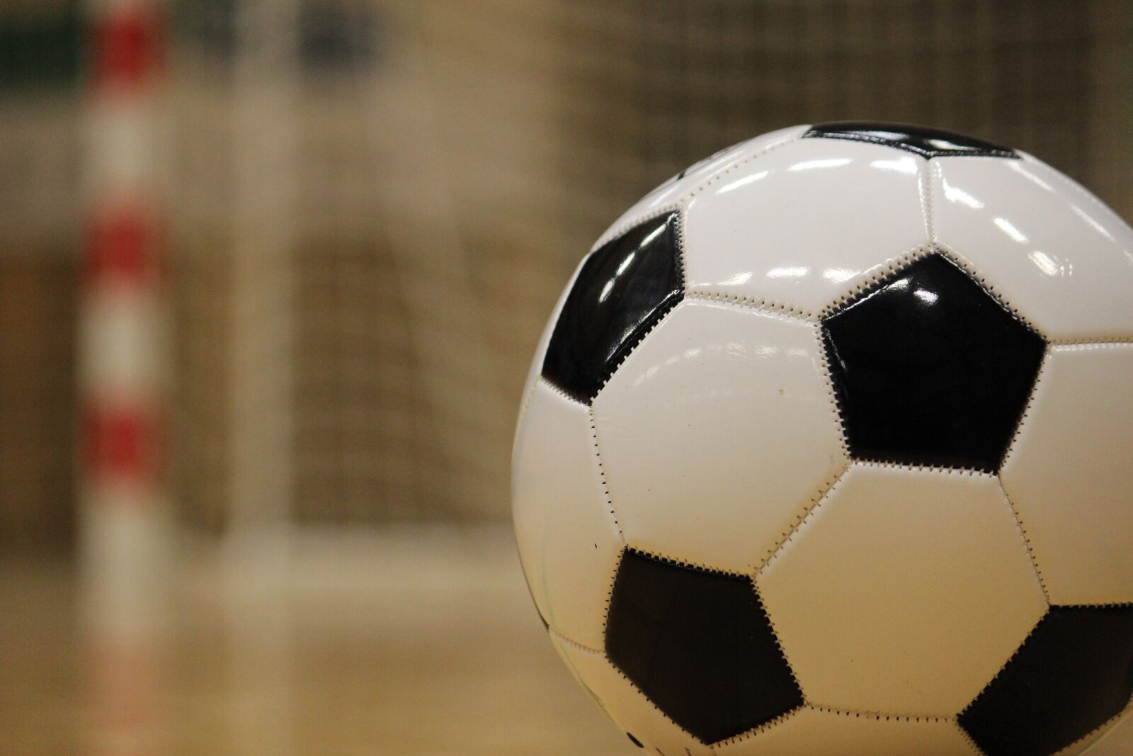Canon EOS 600D (Rebel EOS T3i / EOS Kiss X5) sample photo. Ball, soccer, training photography