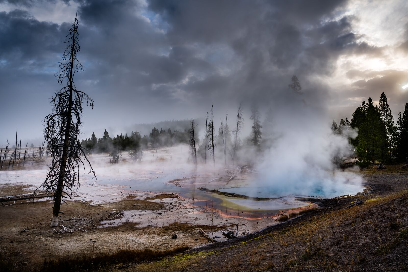 Sony FE 16-35mm F2.8 GM sample photo. Geyser, yellowstone, wyoming photography