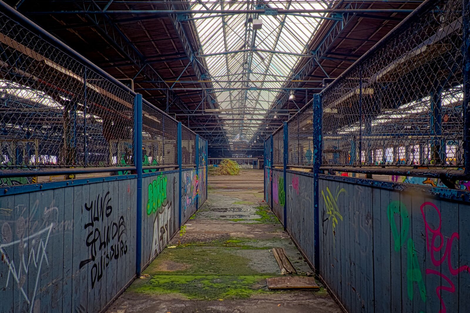 Olympus OM-D E-M10 sample photo. Lost places, pforphoto, old photography