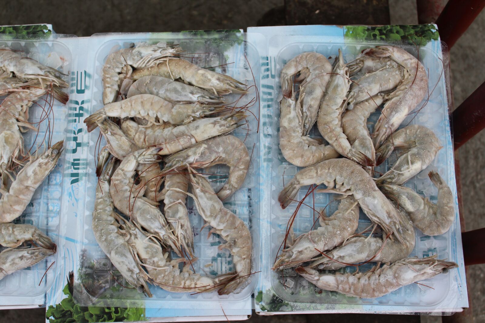 Canon EOS 1300D (EOS Rebel T6 / EOS Kiss X80) sample photo. Shrimp, prawns, frozen shrimp photography