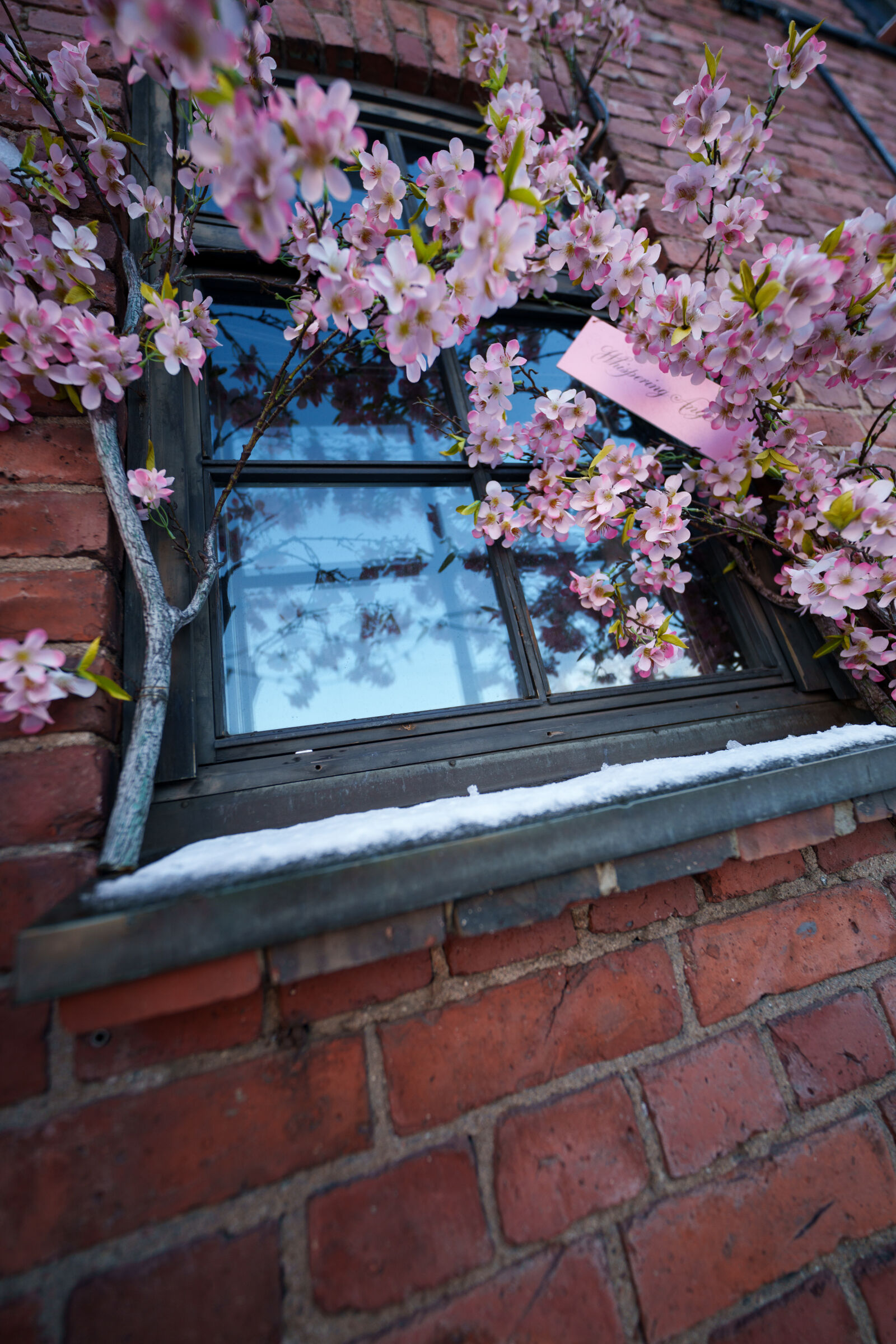 Sigma 14mm F1.4 DG DN sample photo. Faux flower window photography