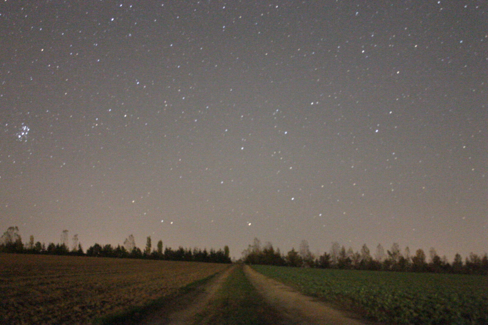 Canon EOS 1100D (EOS Rebel T3 / EOS Kiss X50) sample photo. Stars, trees, way photography