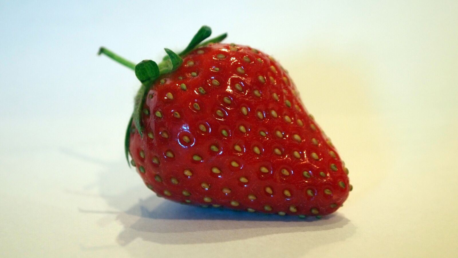 Olympus PEN E-P1 sample photo. Strawberry, fruit, fruits photography
