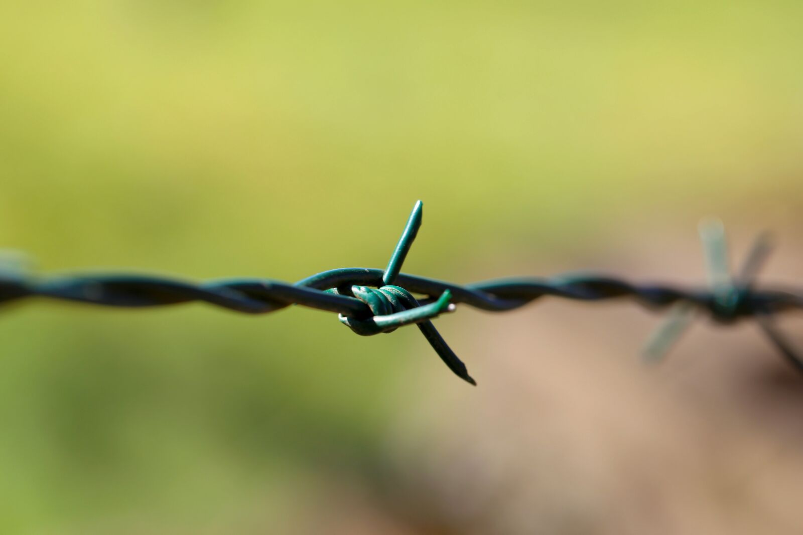 Canon EOS 6D + Canon EF 100mm F2.8L Macro IS USM sample photo. Barbed wire, close up photography