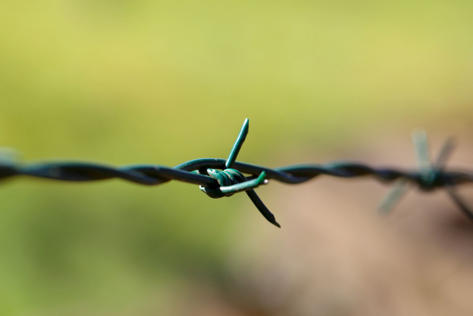 Canon EF 100mm F2.8L Macro IS USM sample photo. Barbed wire, close up photography