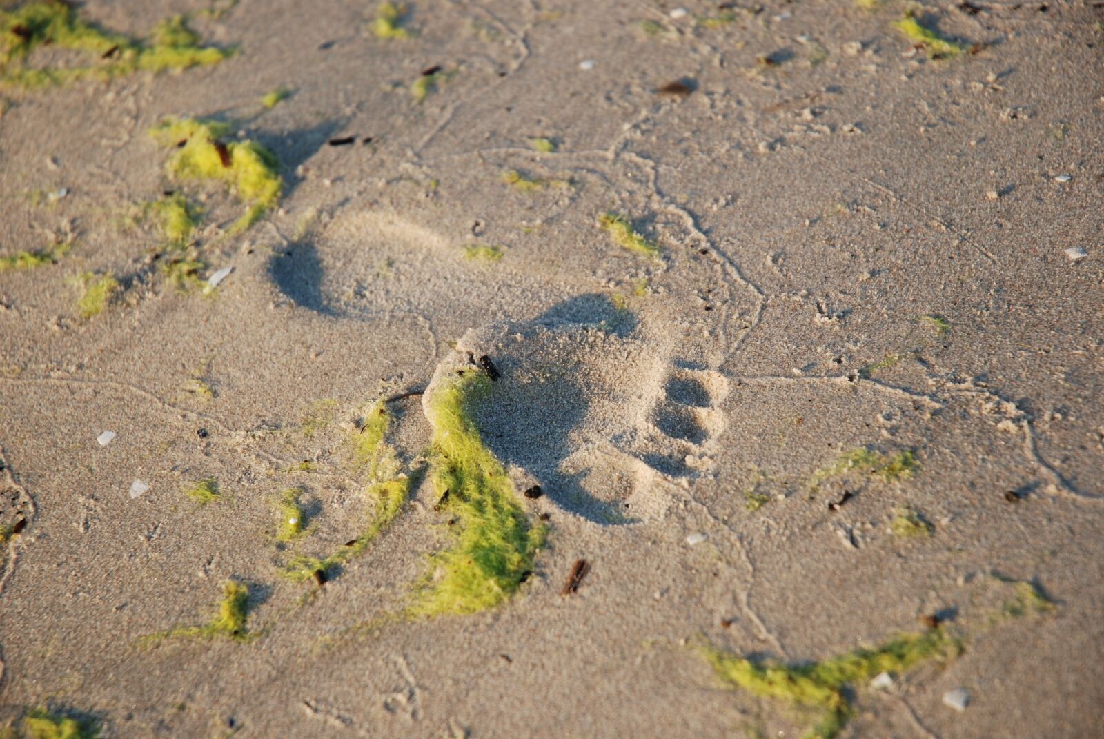 Nikon D80 sample photo. Sand, nature, beach photography