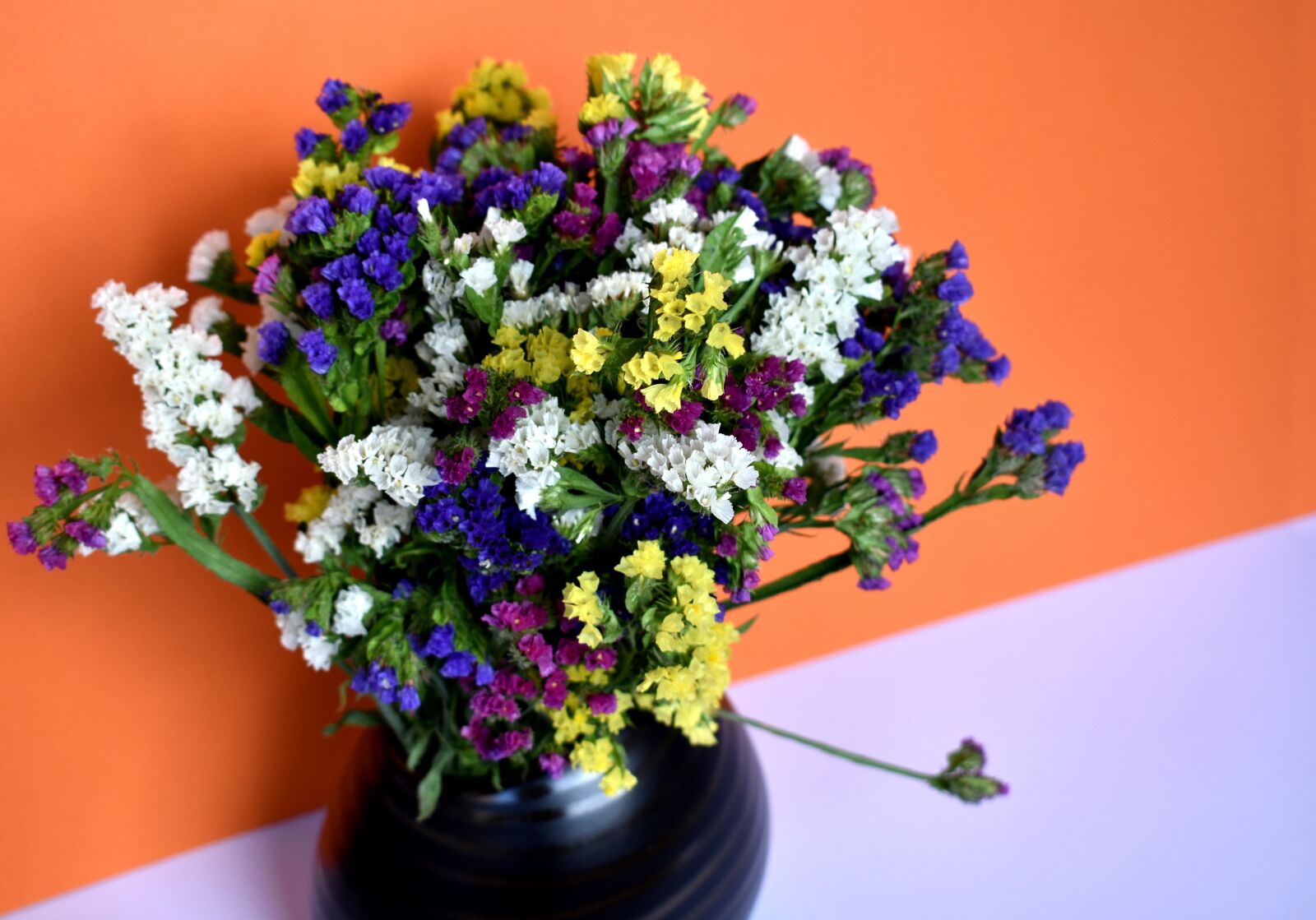 Nikon D3400 sample photo. Still-life, still life, limonium photography