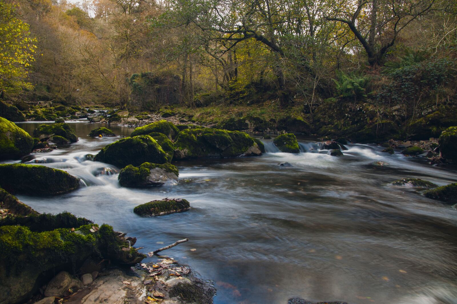 Nikon D90 sample photo. River, nature, landscape photography