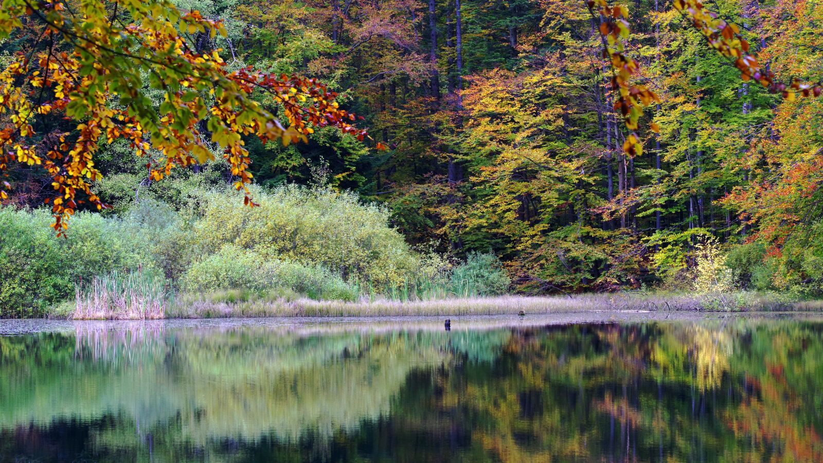 Pentax K-1 sample photo. Poland, bieszczady, lake duszaty photography