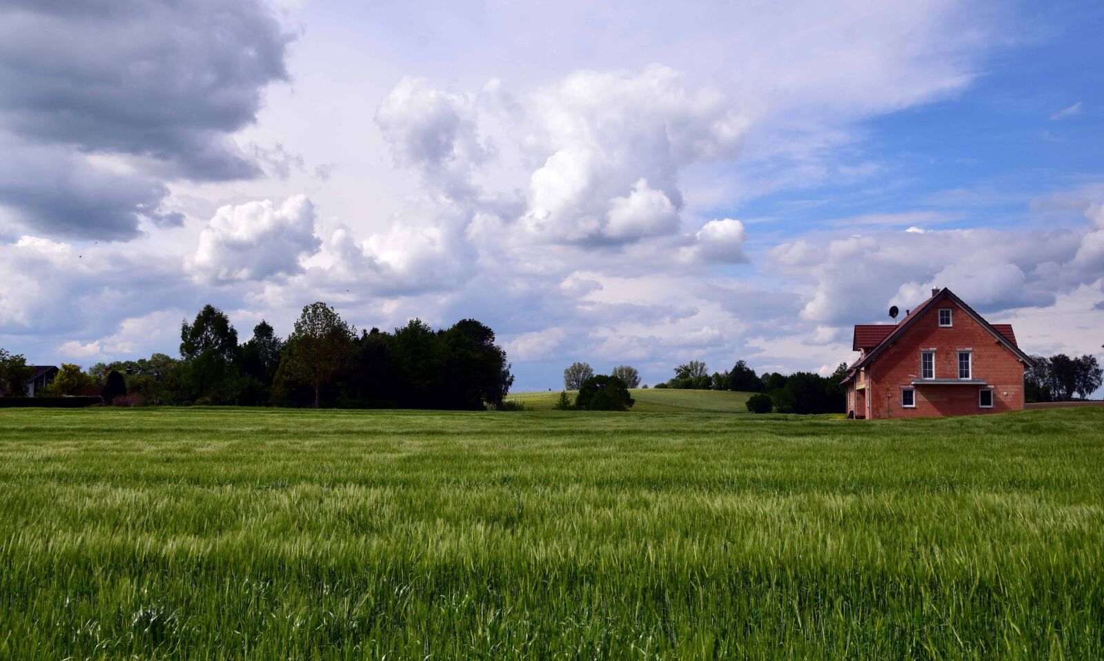 Nikon D3300 sample photo. Landscape, agriculture, blue sky photography