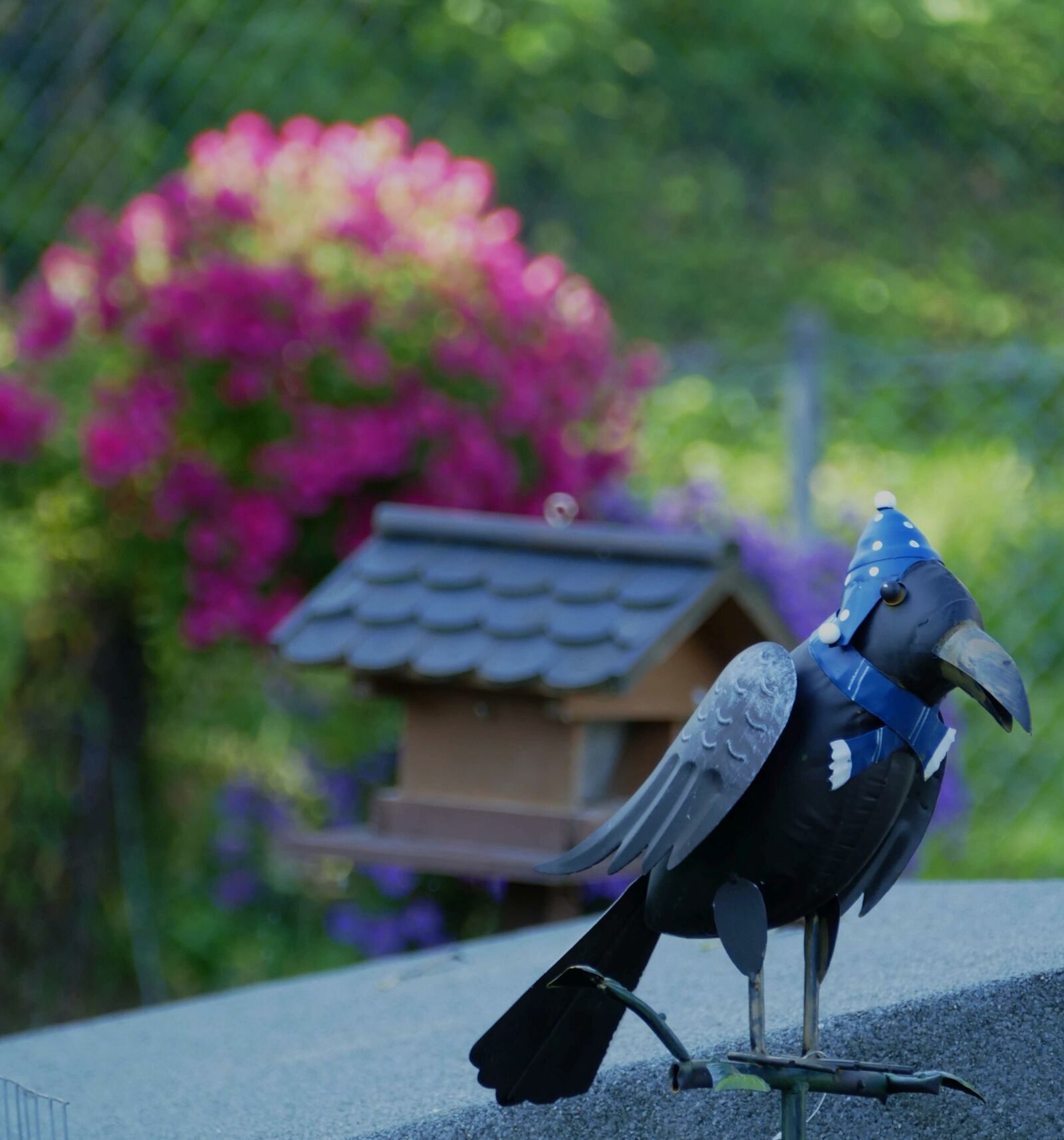 Panasonic Lumix DMC-FZ1000 sample photo. Raven, sheet, garden photography