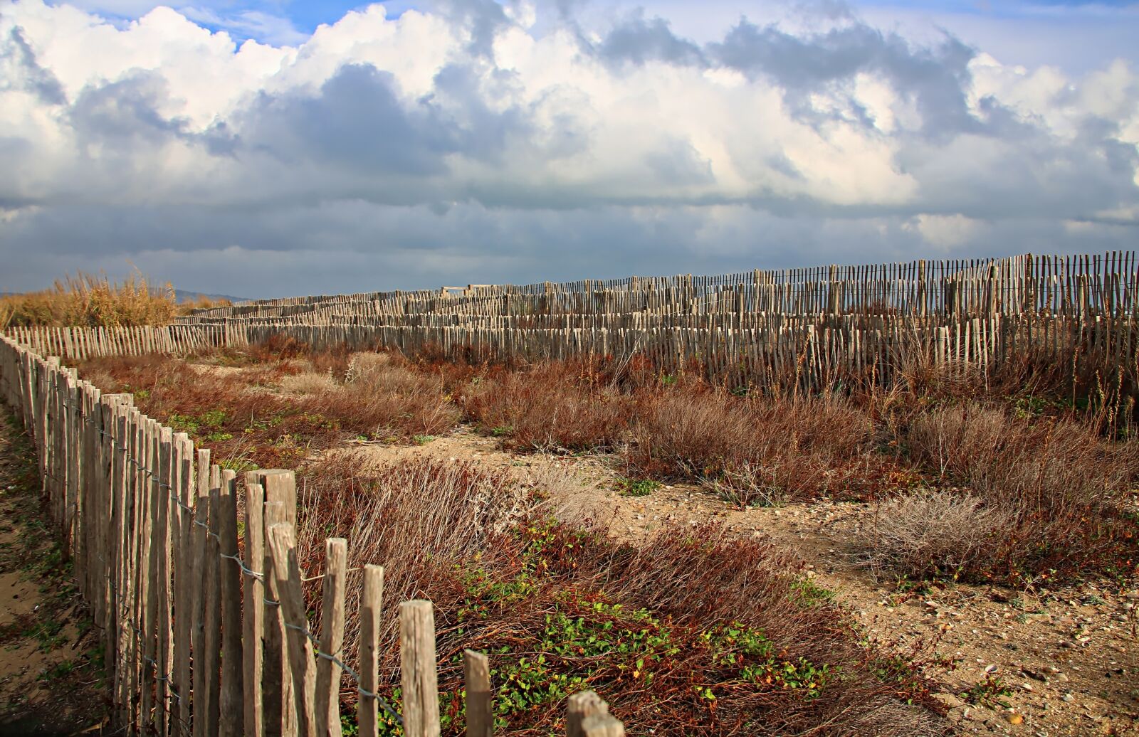 Canon EOS 5D Mark III sample photo. Landscape, scrubland, beach photography