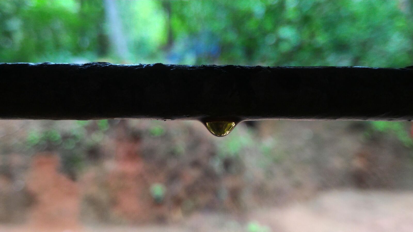 ASUS Z00AD sample photo. Drop of rain, natural photography