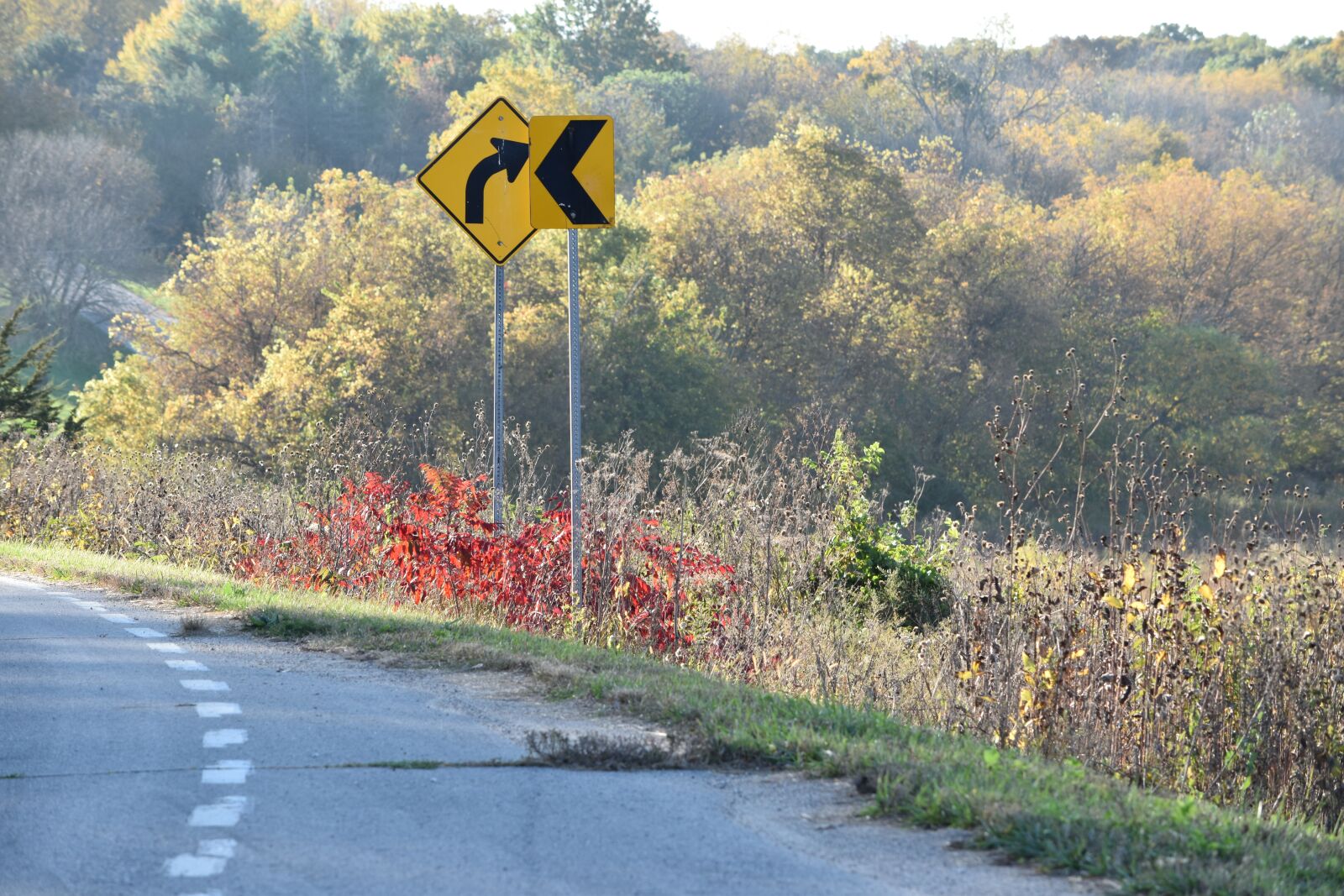 Nikon D5500 sample photo. Signs, corner, road photography