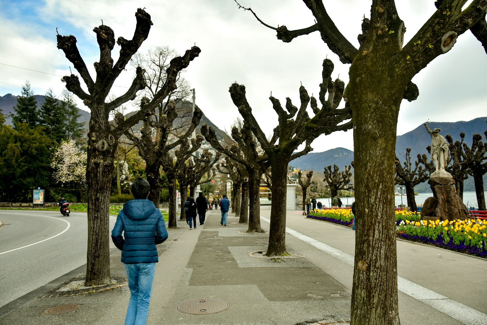 Nikon D7200 sample photo. Switzerland, flowers, park photography