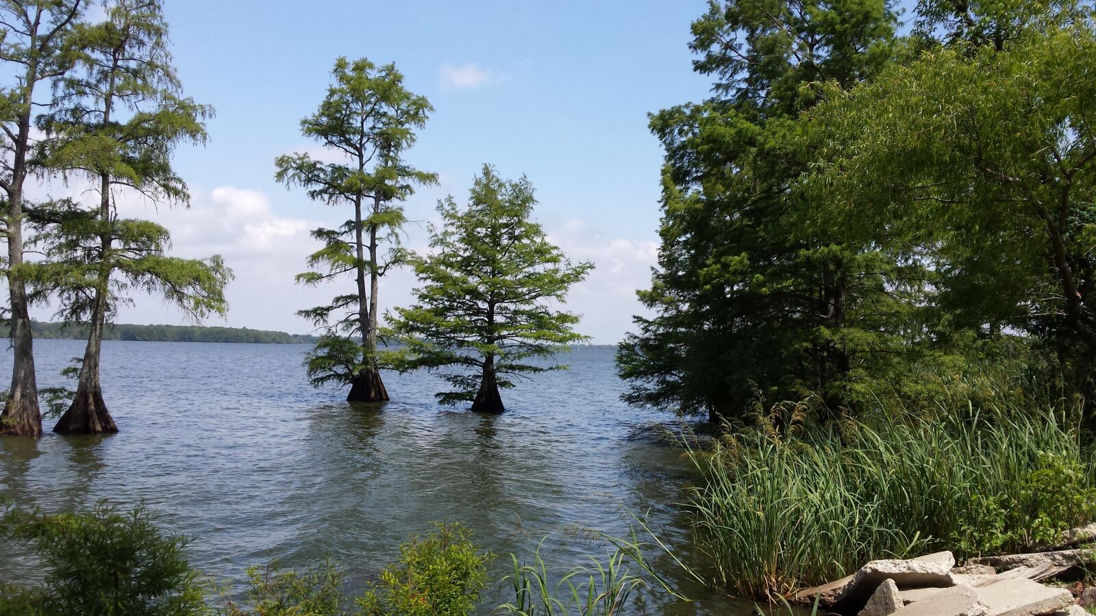 Samsung Galaxy S4 sample photo. Lake, trees, serene photography
