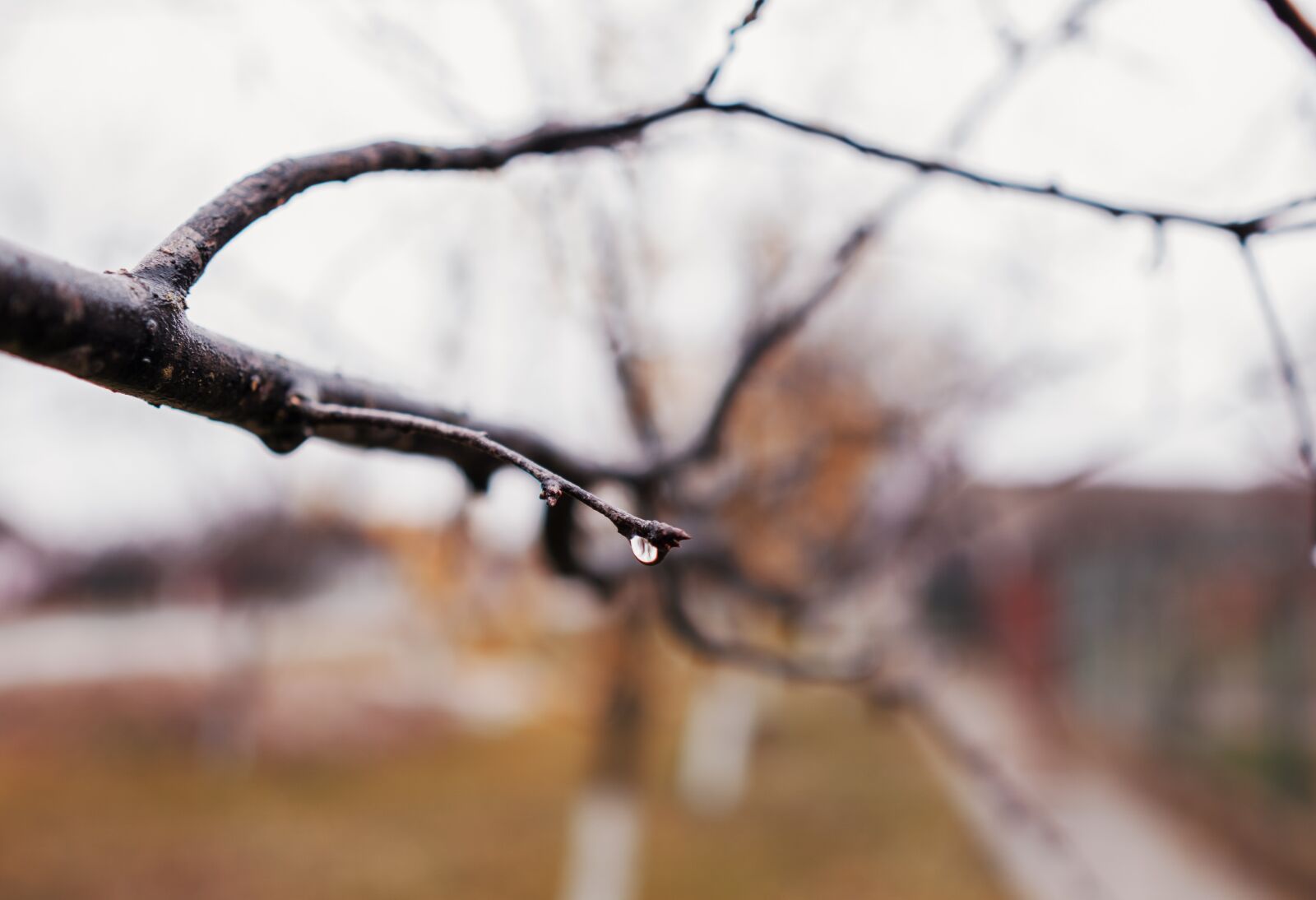 Sony a6400 + Sigma 16mm F1.4 DC DN | C sample photo. Water, liquid, rain photography