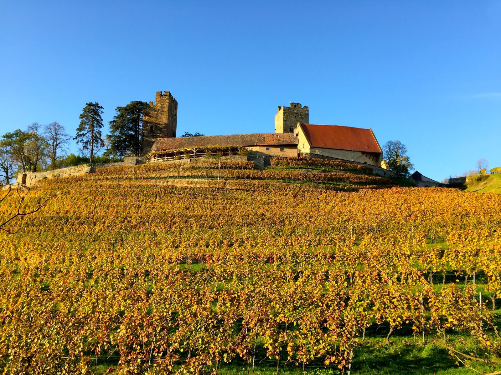 Apple iPhone 6 sample photo. Autumn, castle, mood photography