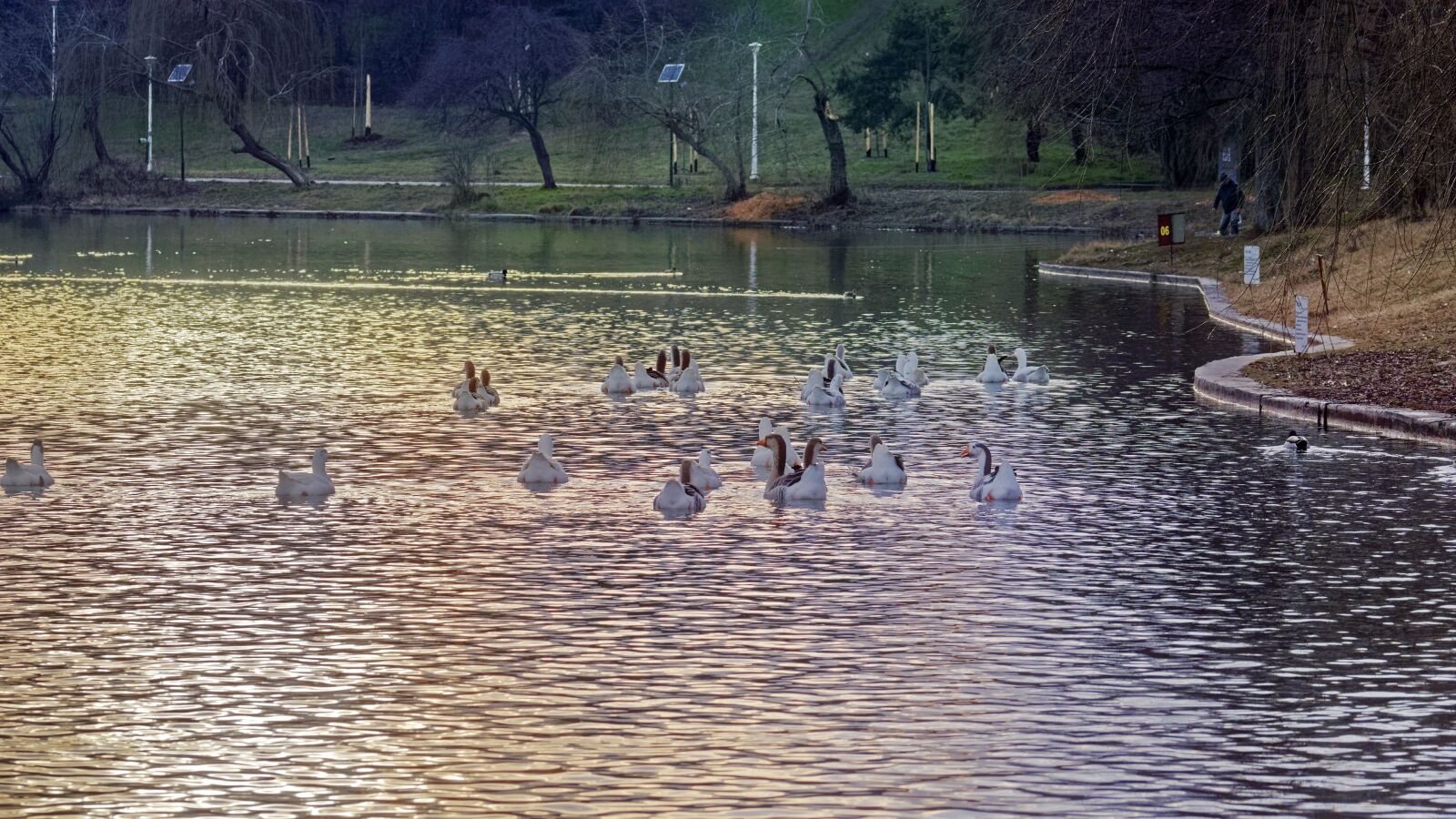 Nikon D5300 sample photo. Landscape, nature, lake photography