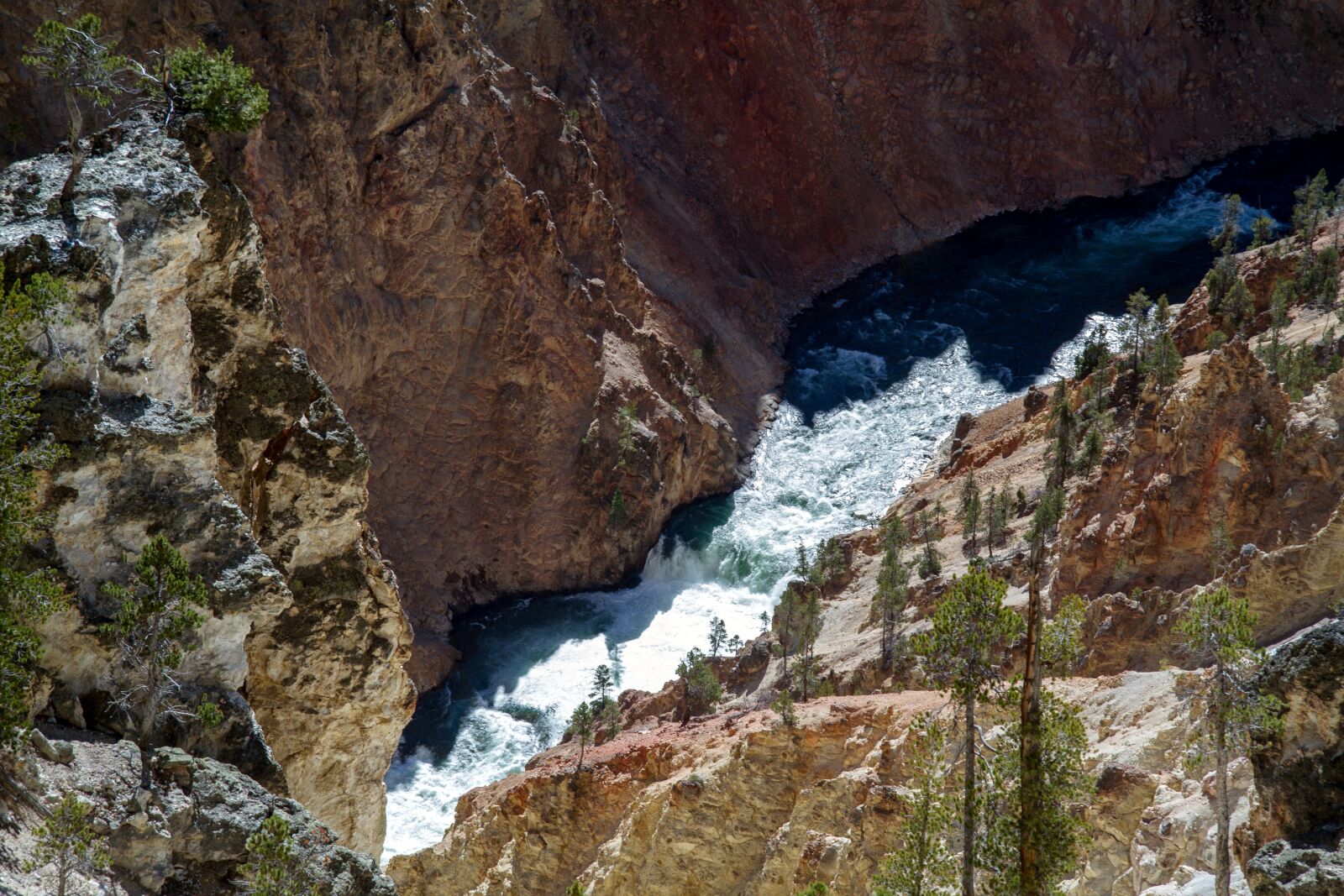 Canon EOS 7D sample photo. Yellowstone national park, wyoming photography