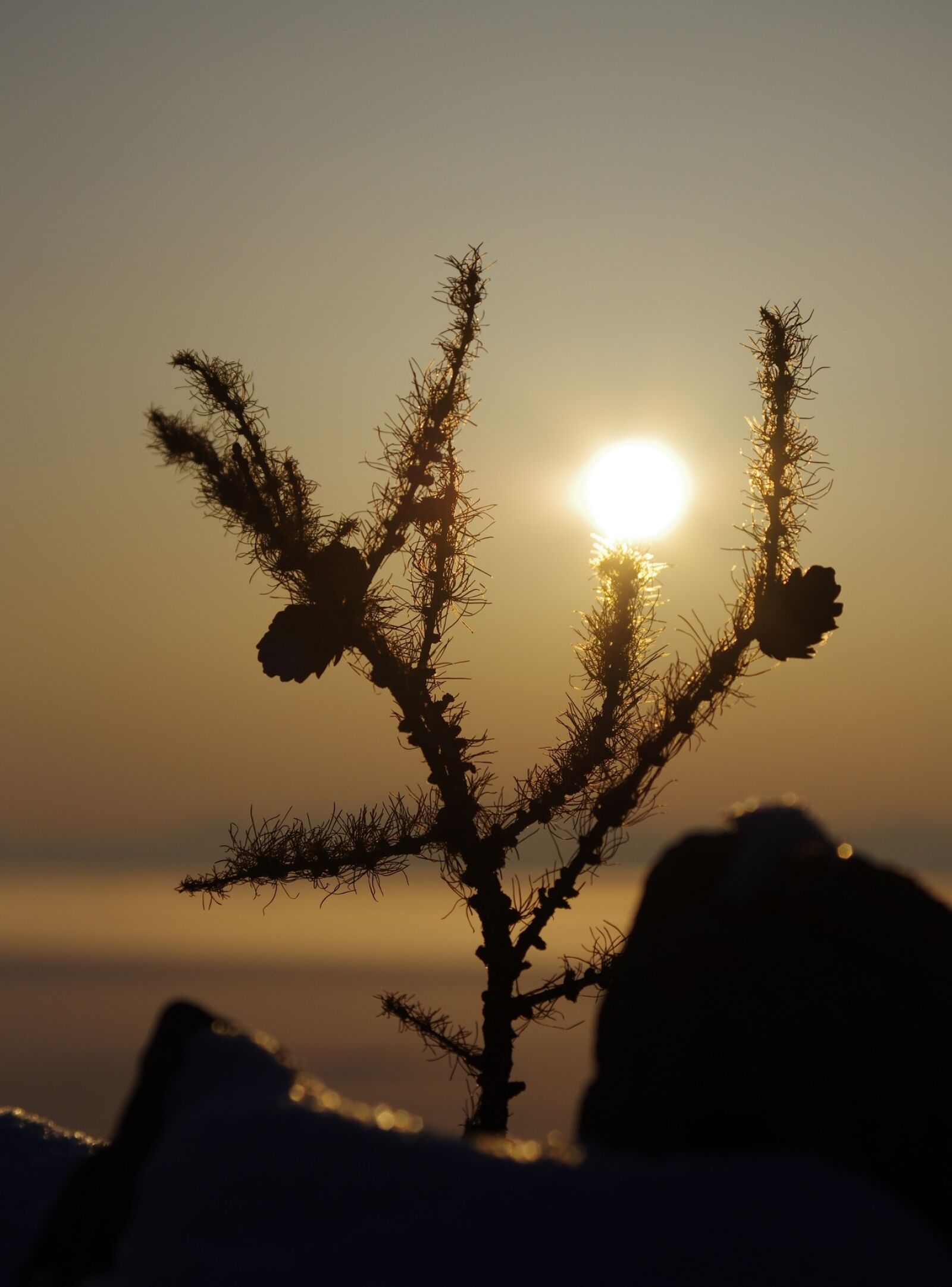 Pentax K-5 sample photo. Sunrise, fog, morning photography