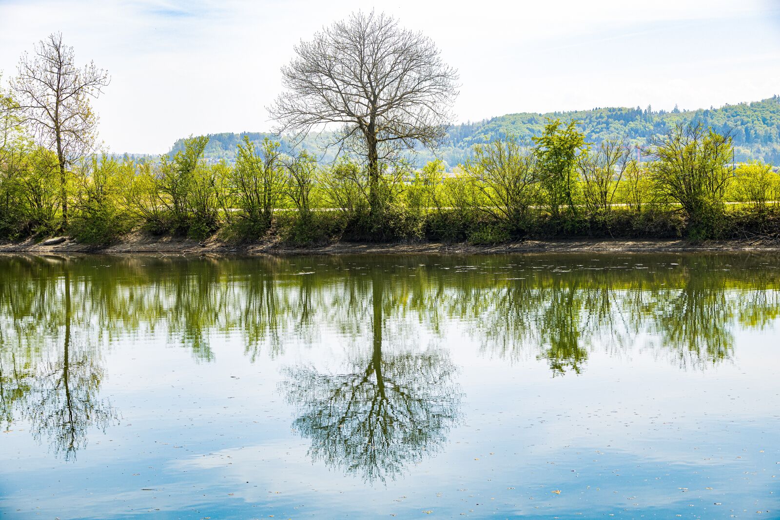 Canon EOS R sample photo. River, water, trees photography