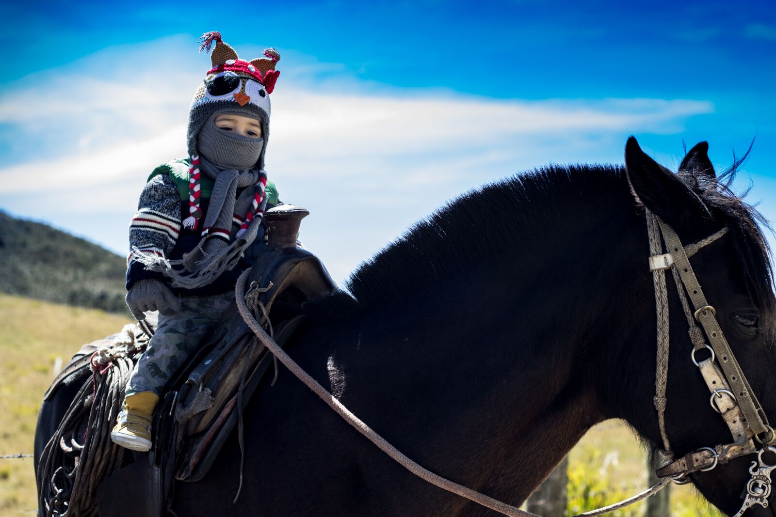 Canon EOS 600D (Rebel EOS T3i / EOS Kiss X5) + Canon EF 50mm F1.8 II sample photo. Horse, boy, child photography