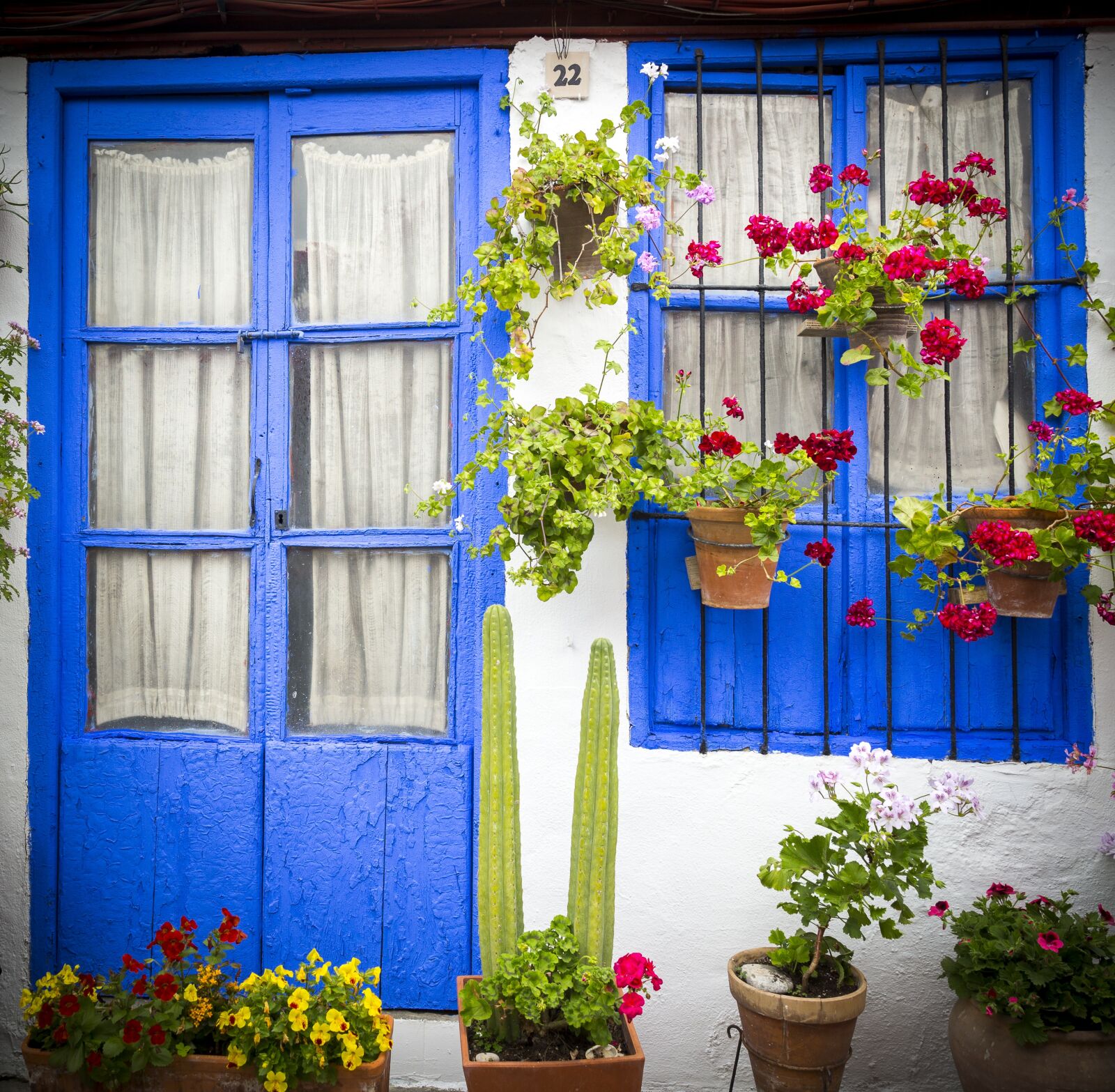 Canon EOS 6D sample photo. Courtyards, cordoba, patios de photography