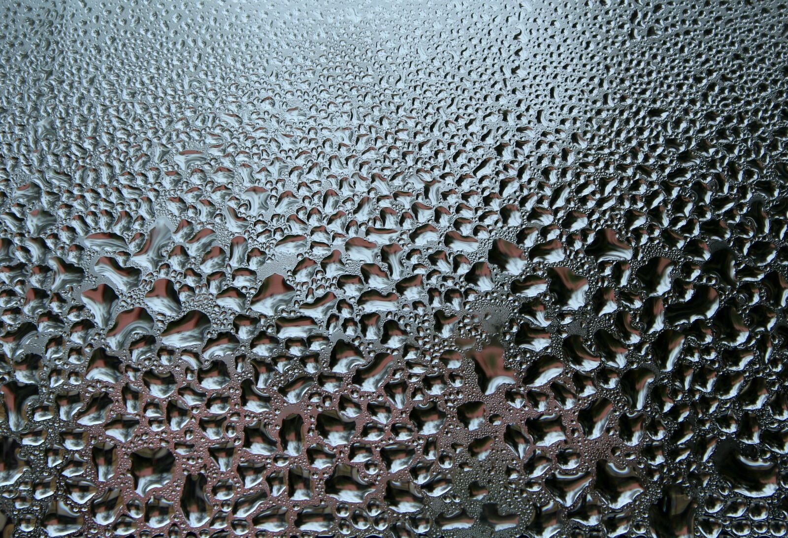 Canon EOS 1200D (EOS Rebel T5 / EOS Kiss X70 / EOS Hi) sample photo. Drops, pane, window photography