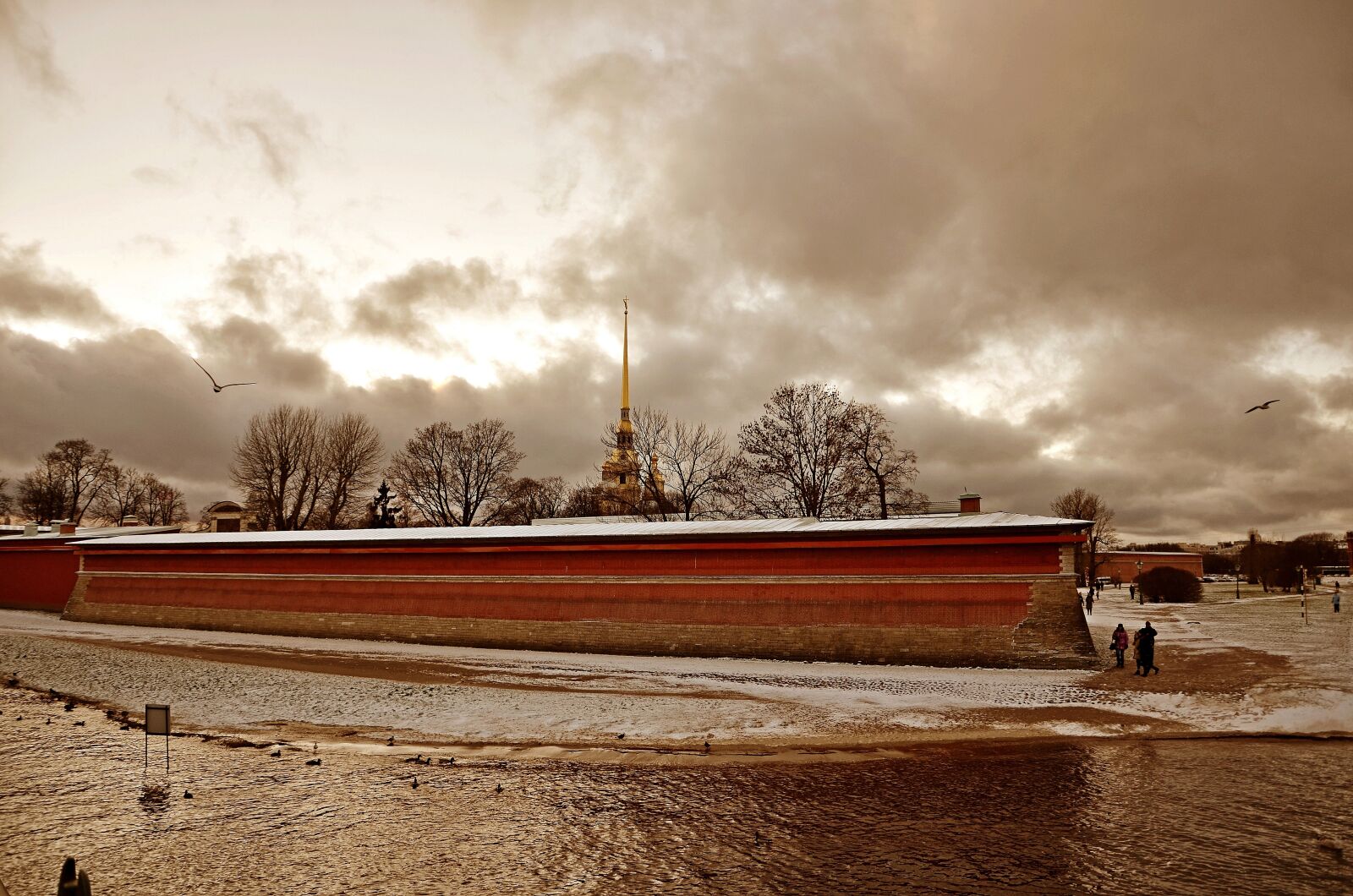 Nikon D5100 sample photo. Spb, petersburg, st petersburg photography